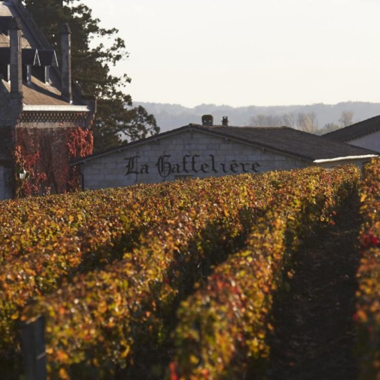 Normanby Fine Wines