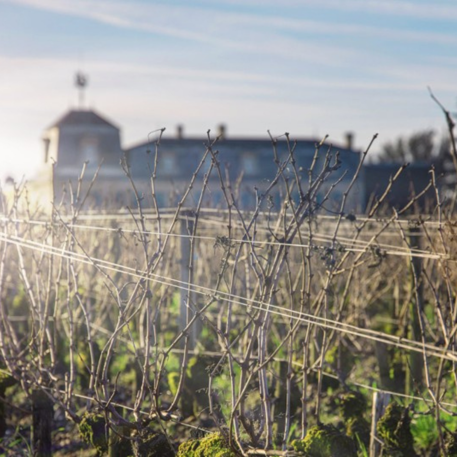 Normanby Fine Wines