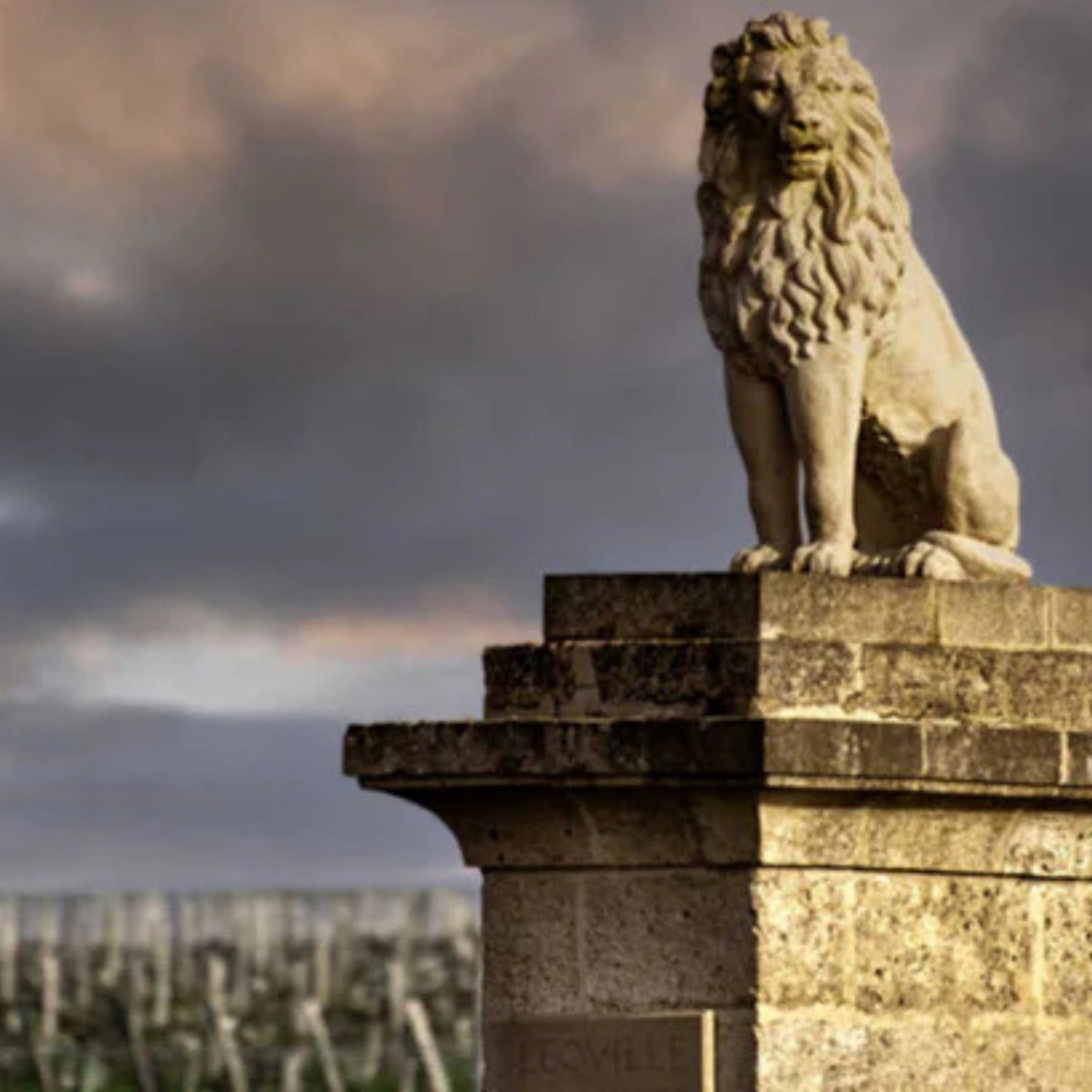 Normanby Fine Wines
