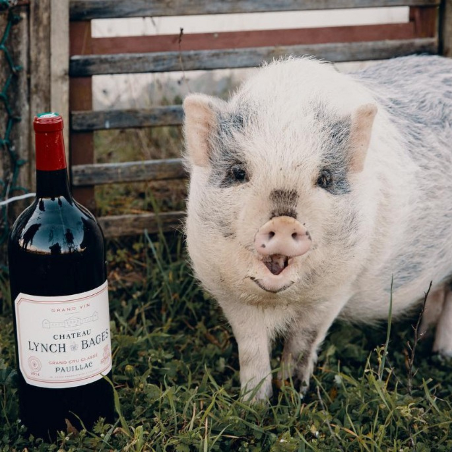 Normanby Fine Wines