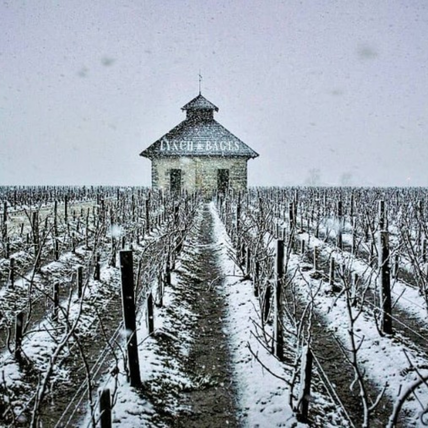Normanby Fine Wines