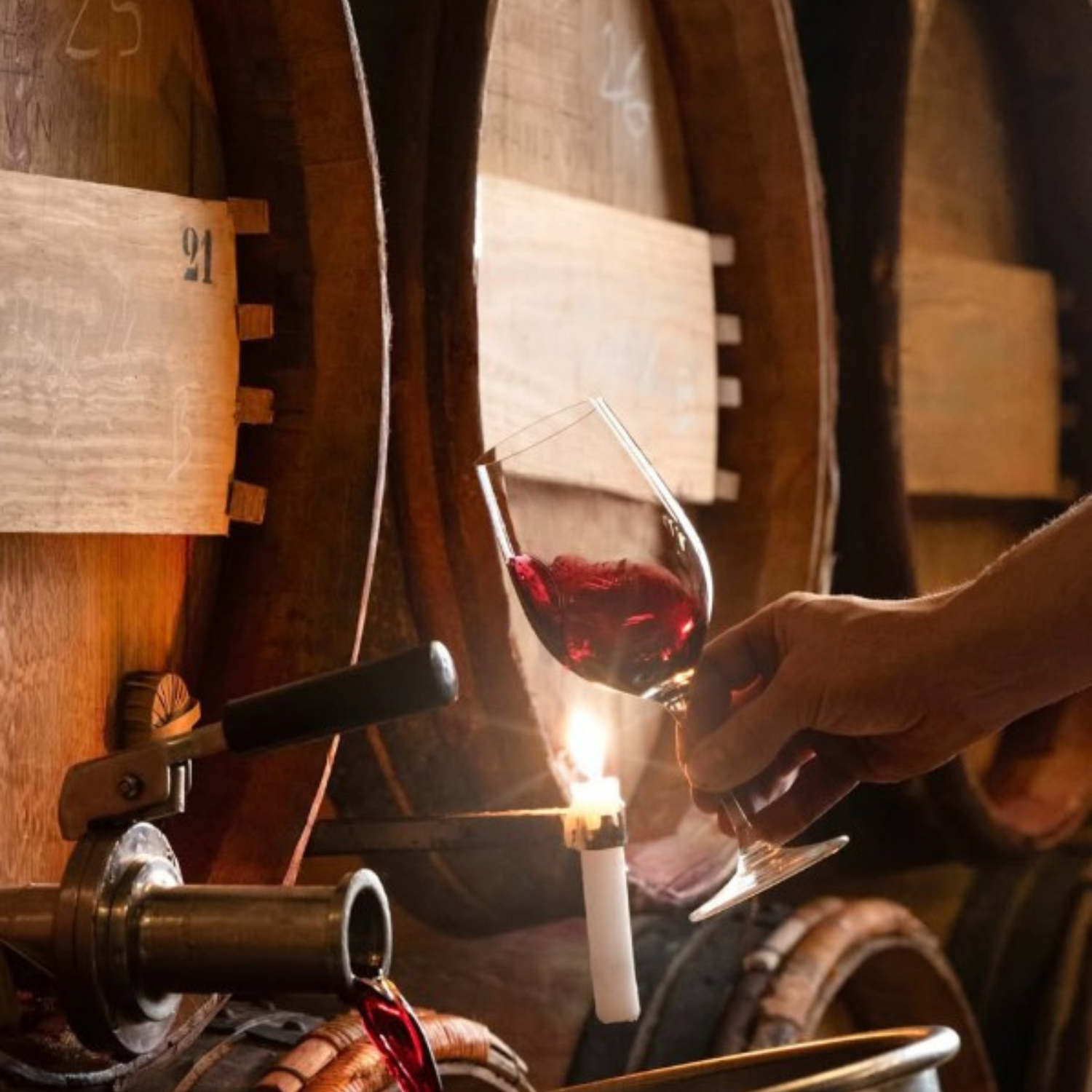 Normanby Fine Wines