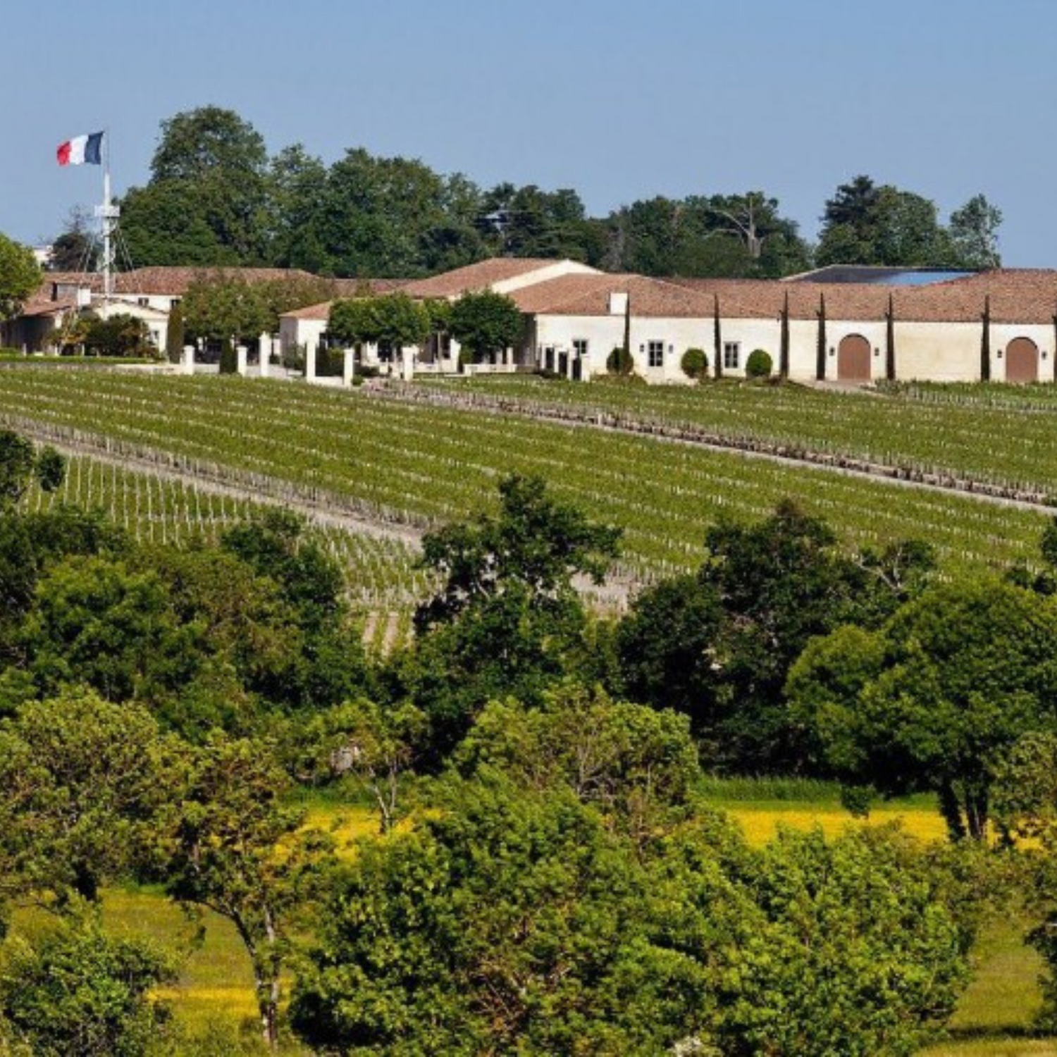Normanby Fine Wines