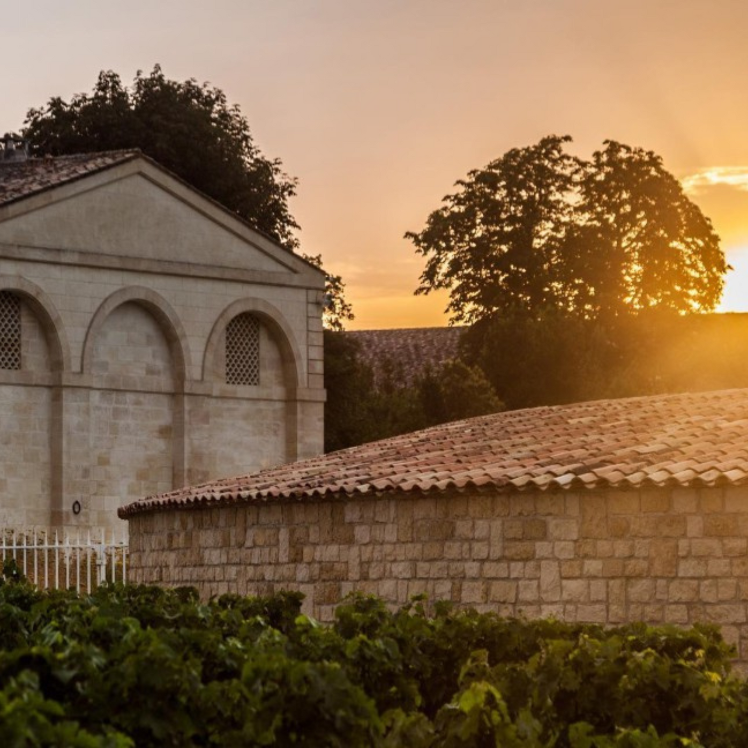 Normanby Fine Wines