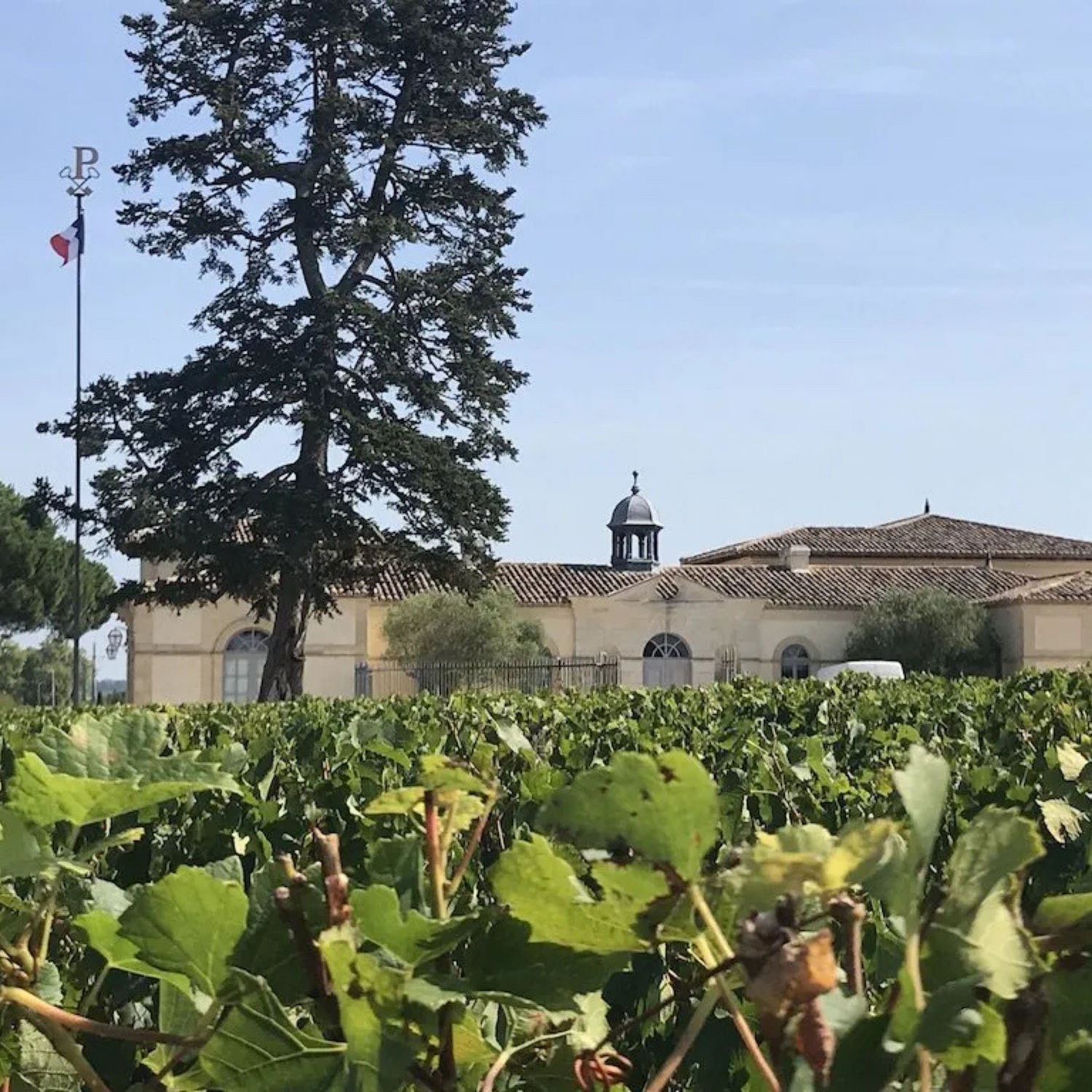 Normanby Fine Wines