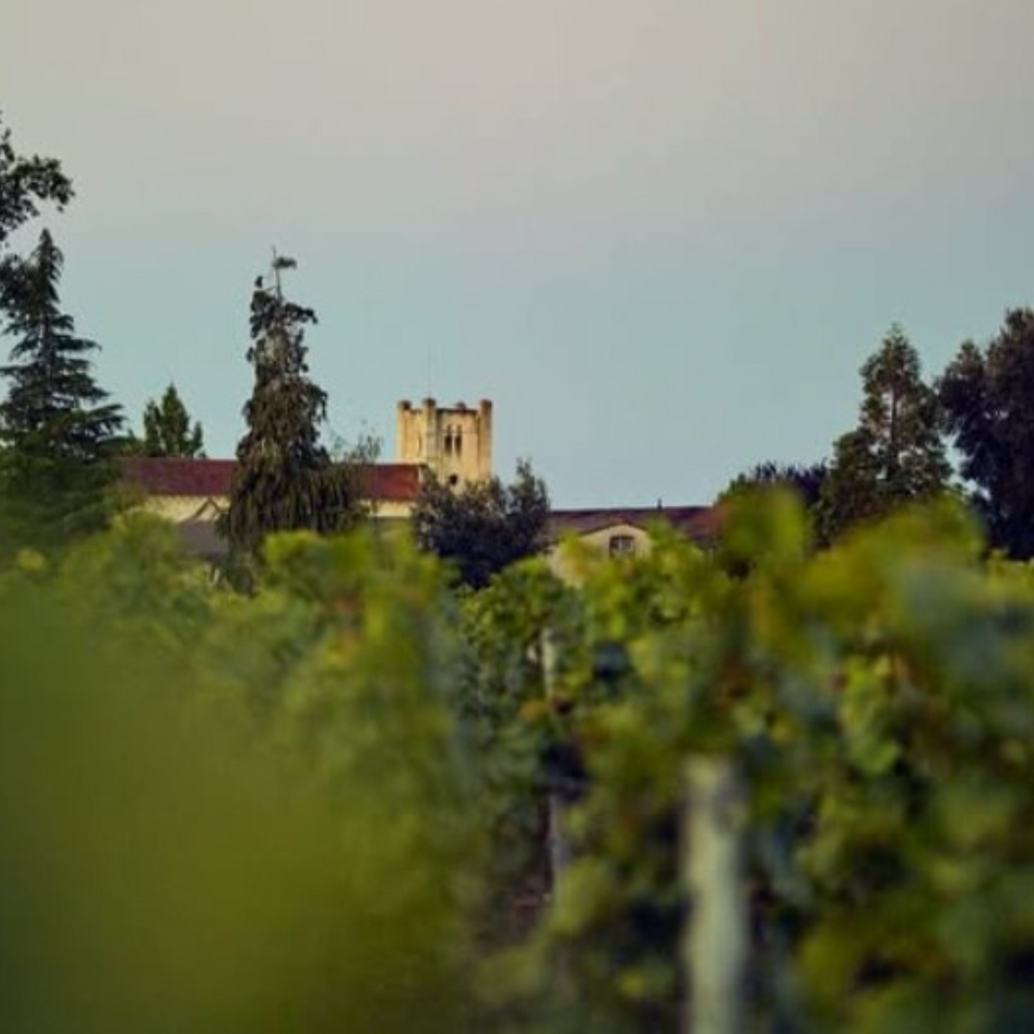 Normanby Fine Wines