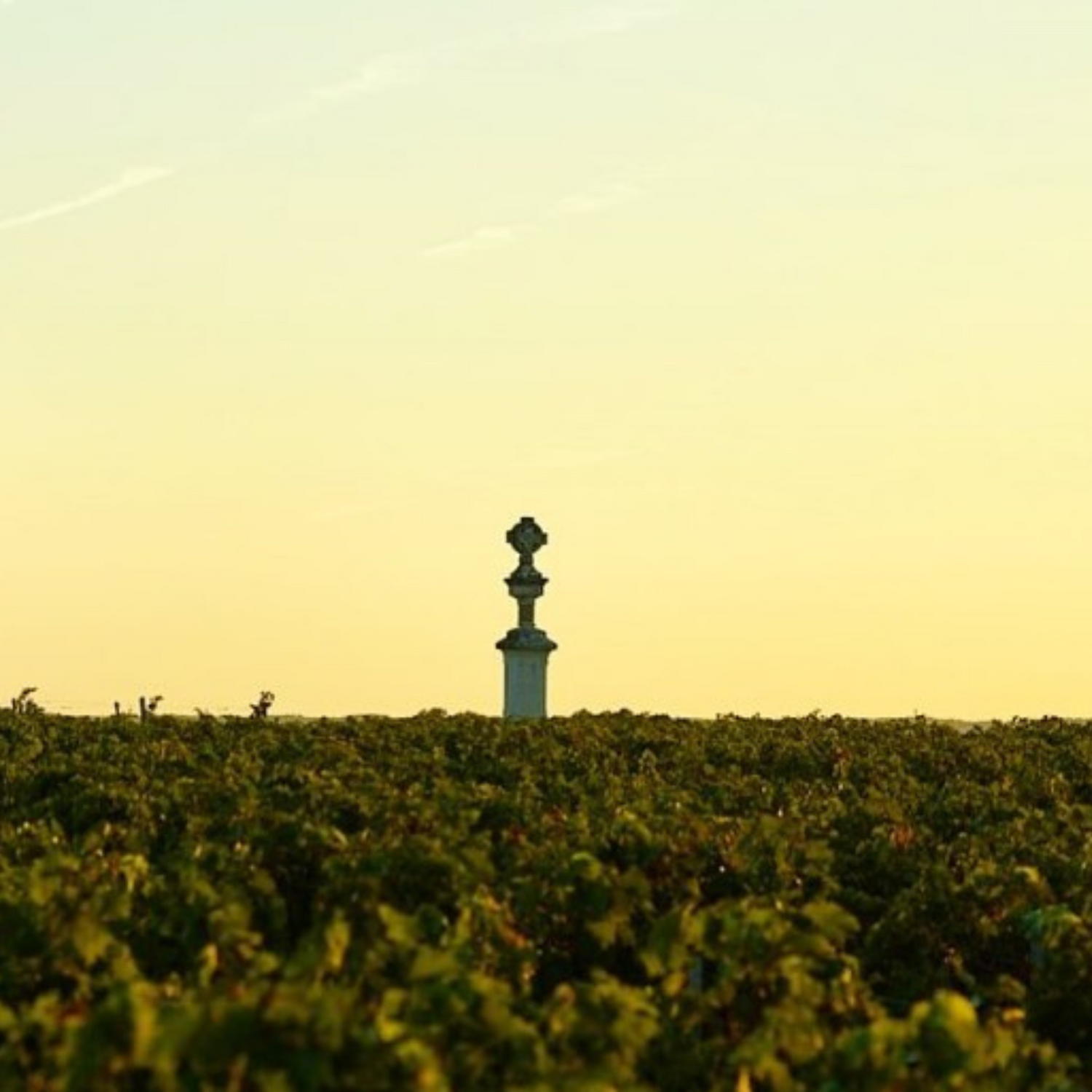 Normanby Fine Wines