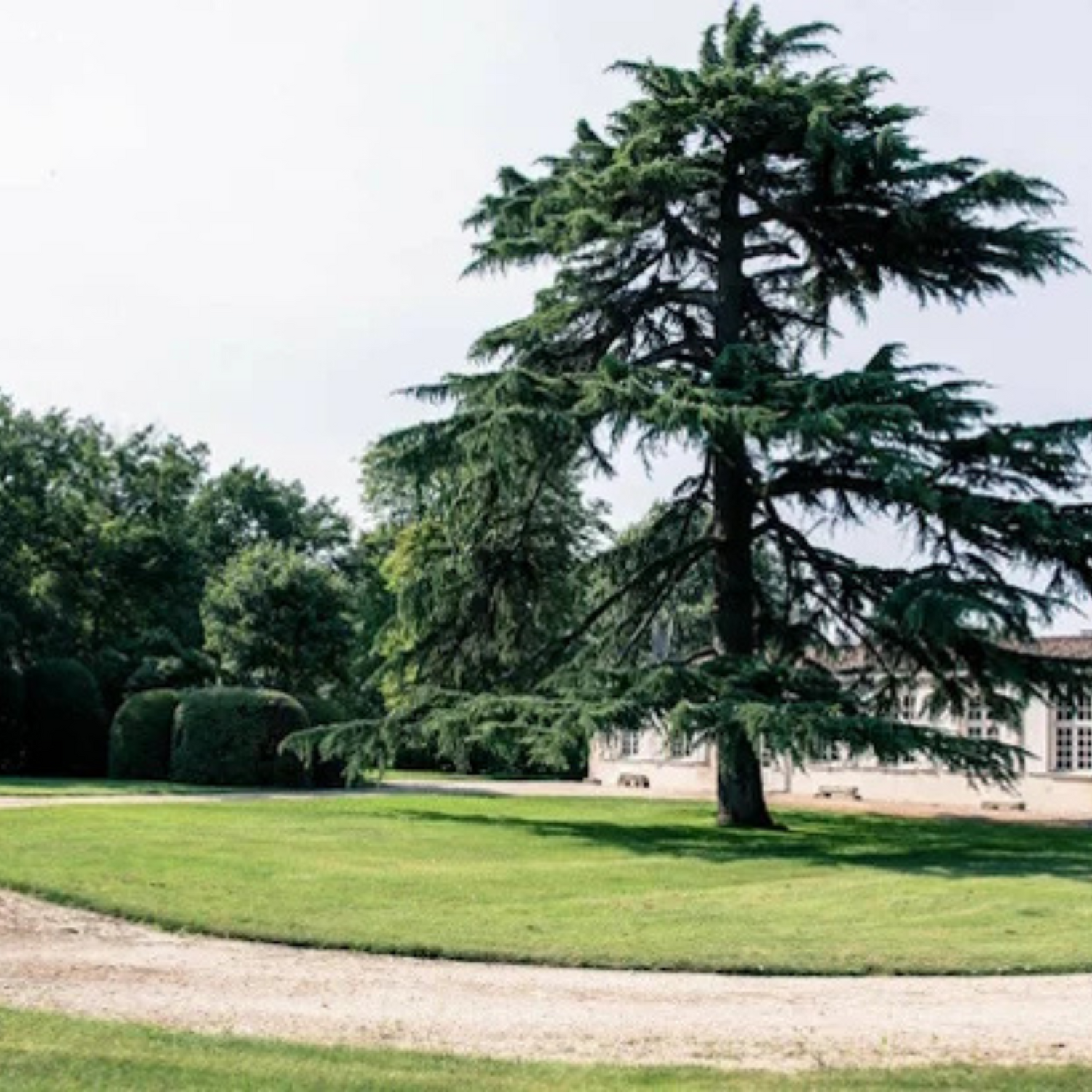 Normanby Fine Wines