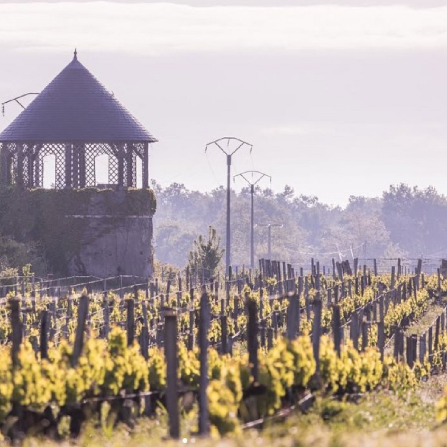 Normanby Fine Wines