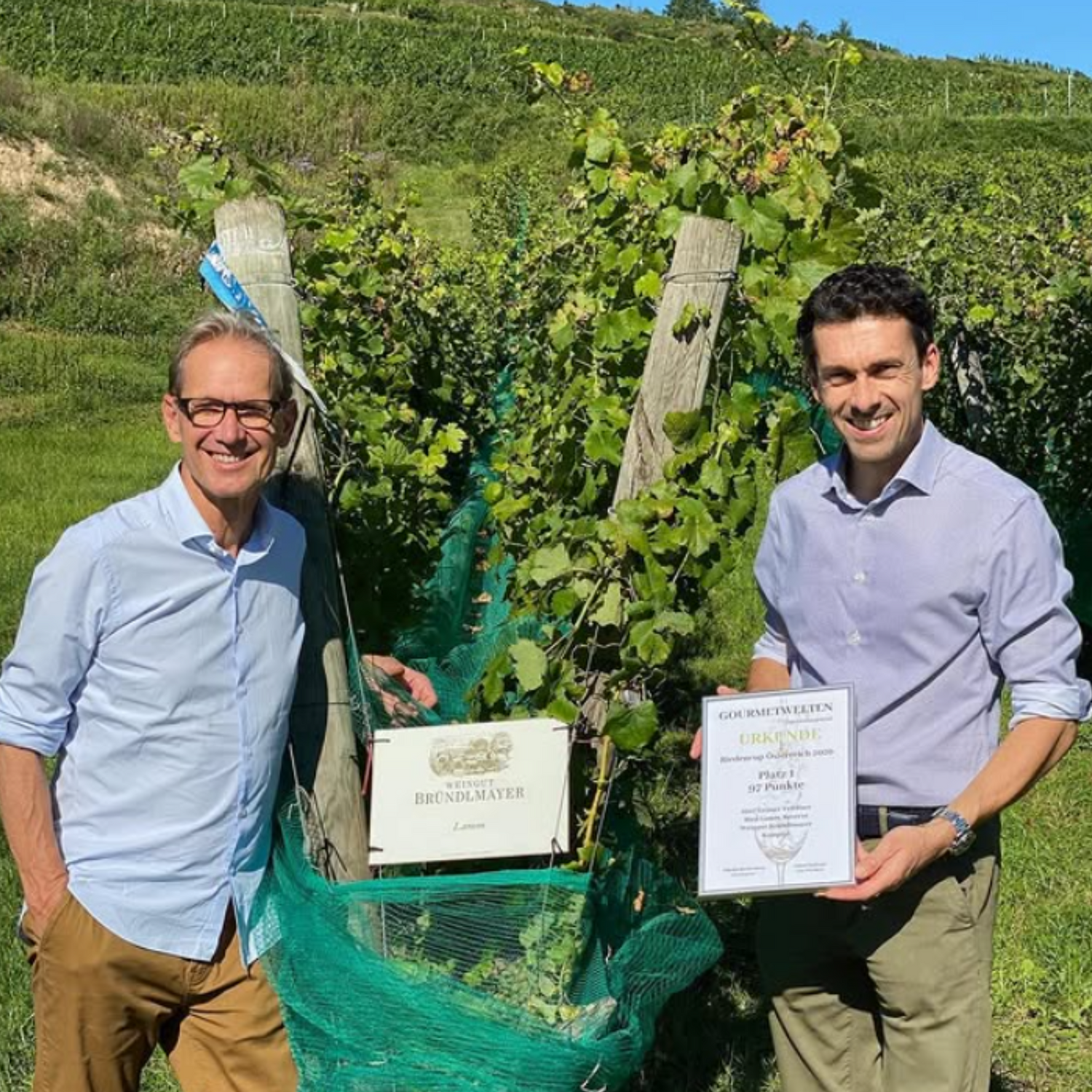 Normanby Fine Wines