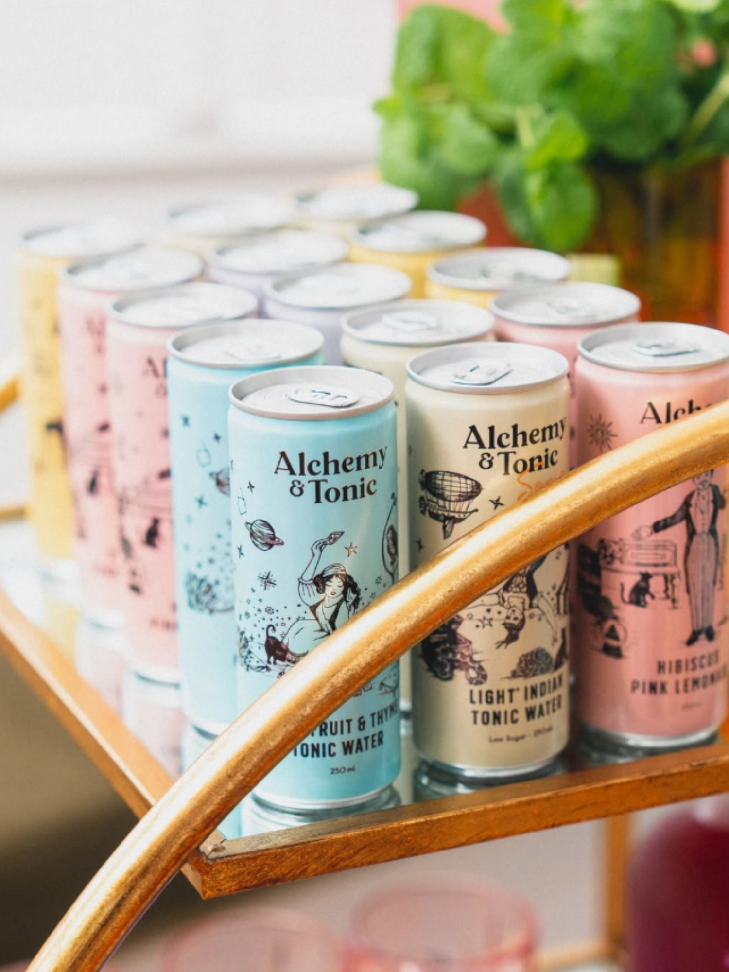 Alchemy & Tonic