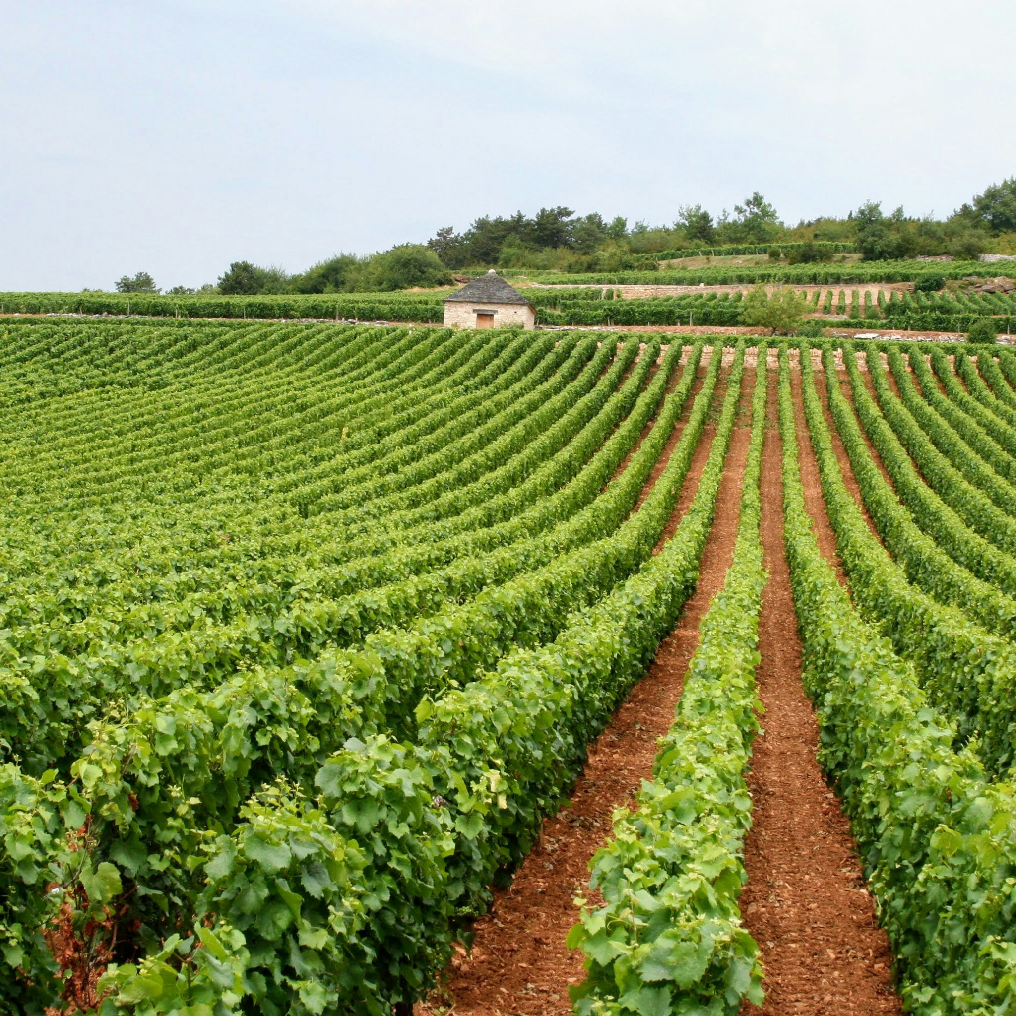 Chateau Barrail
