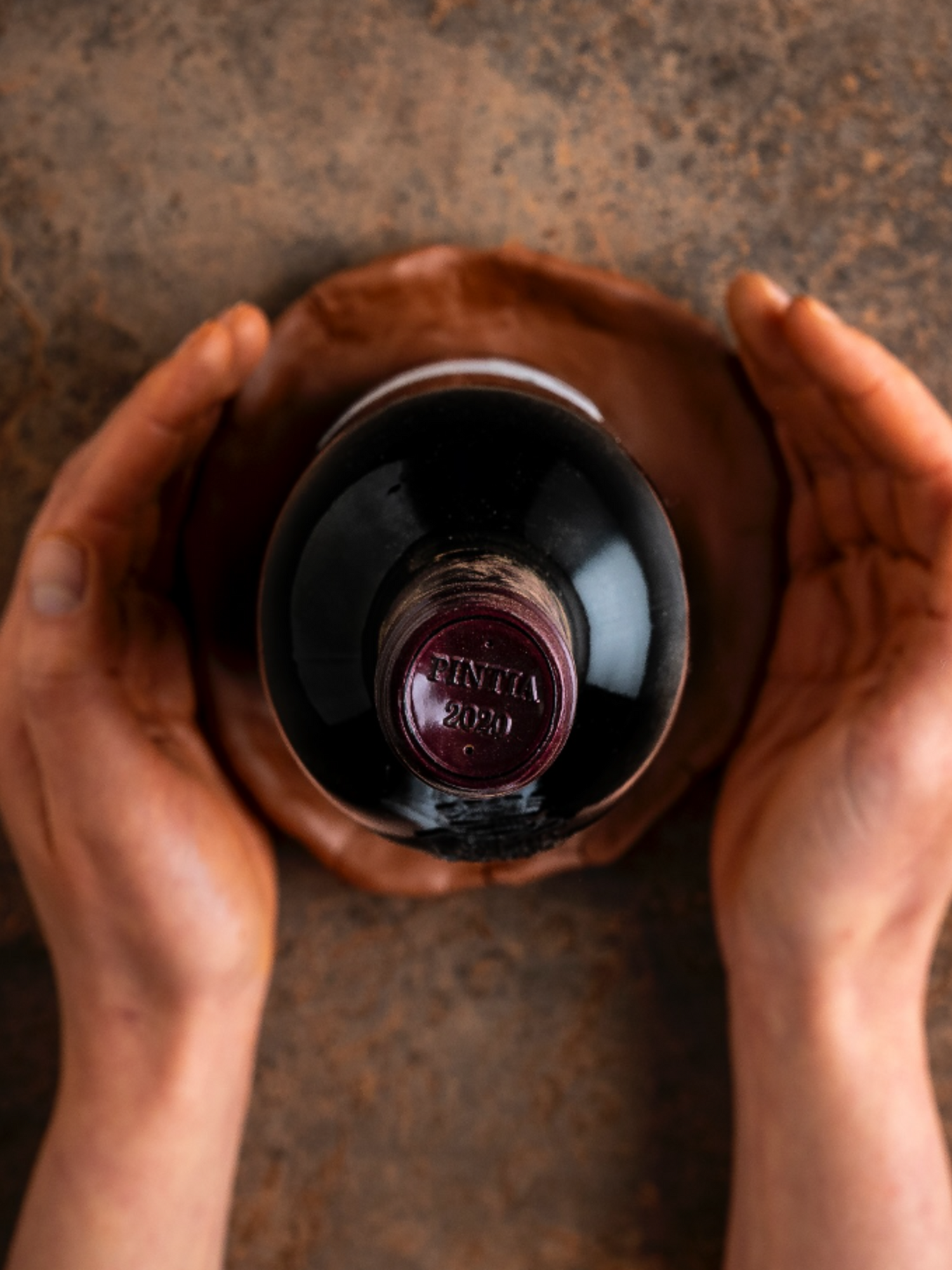 Bodegas Pintia