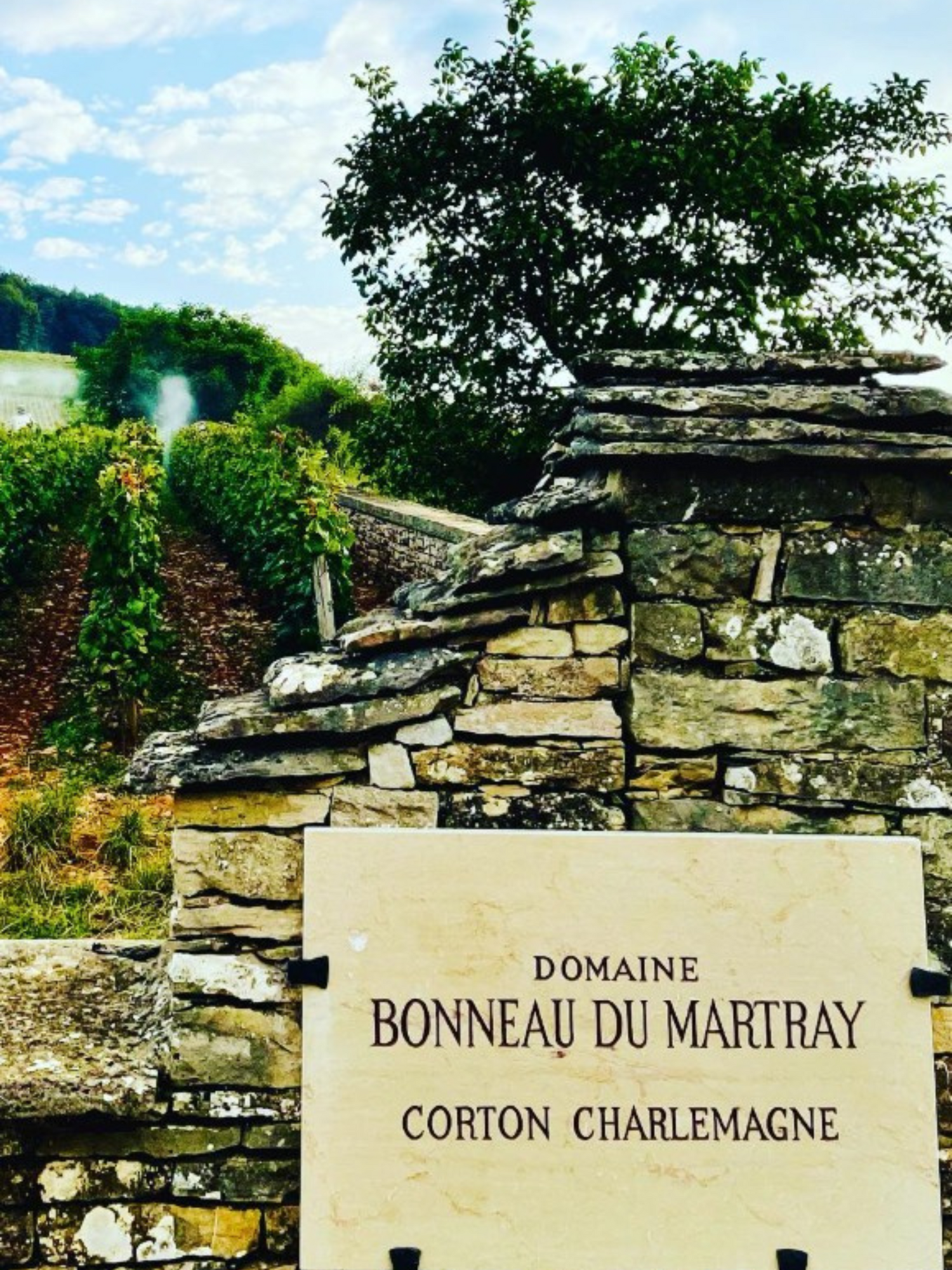 Domaine Bonneau du Martray
