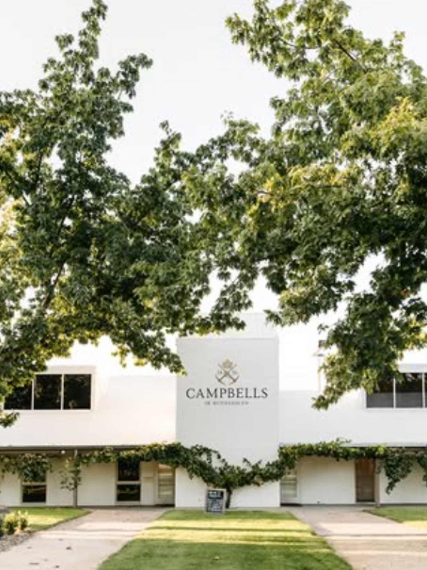 Campbells Wines