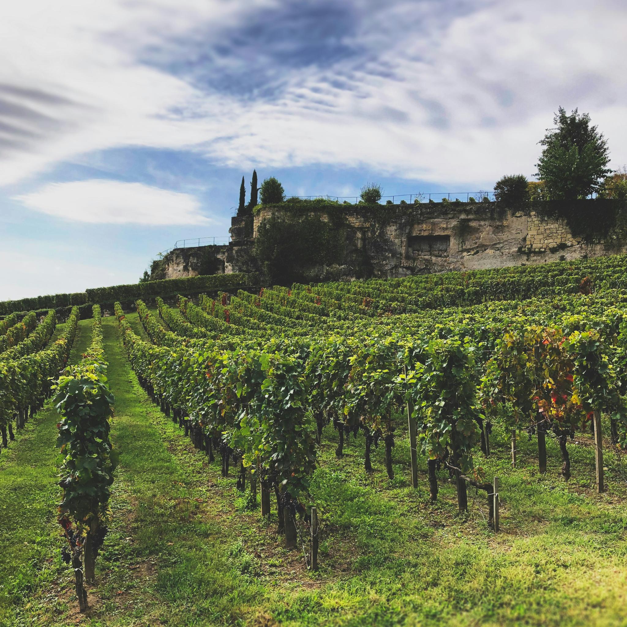 Chateau Moulin Saint Georges