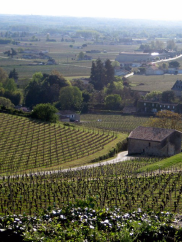 Château Pavie