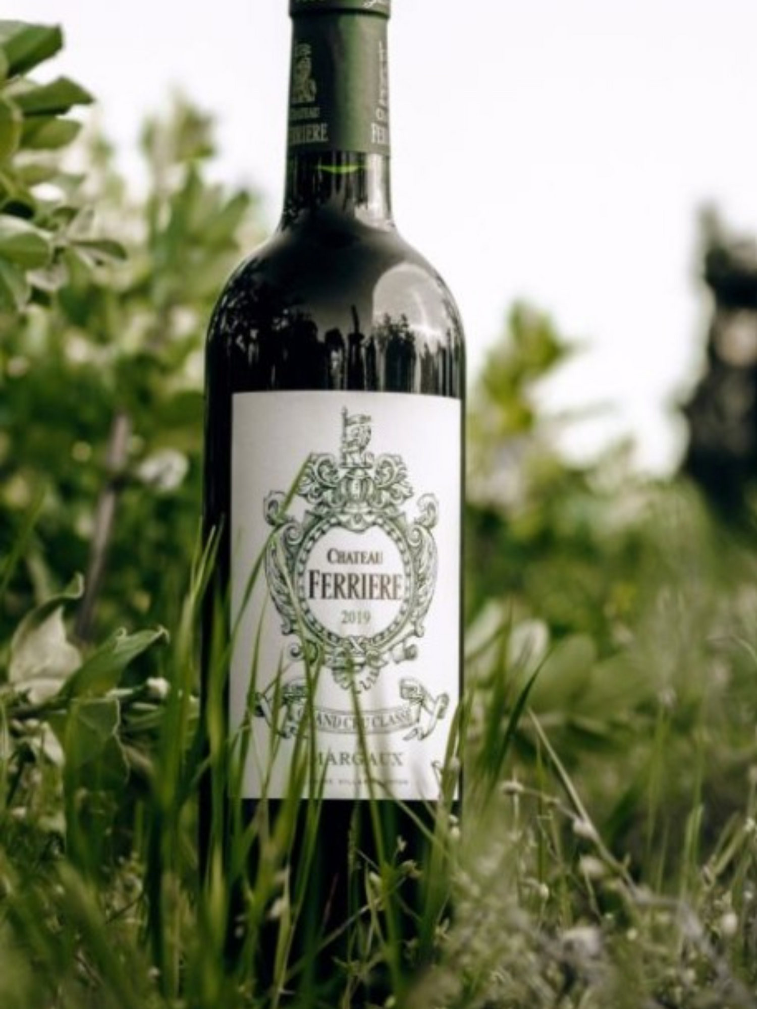 Chateau Ferriere