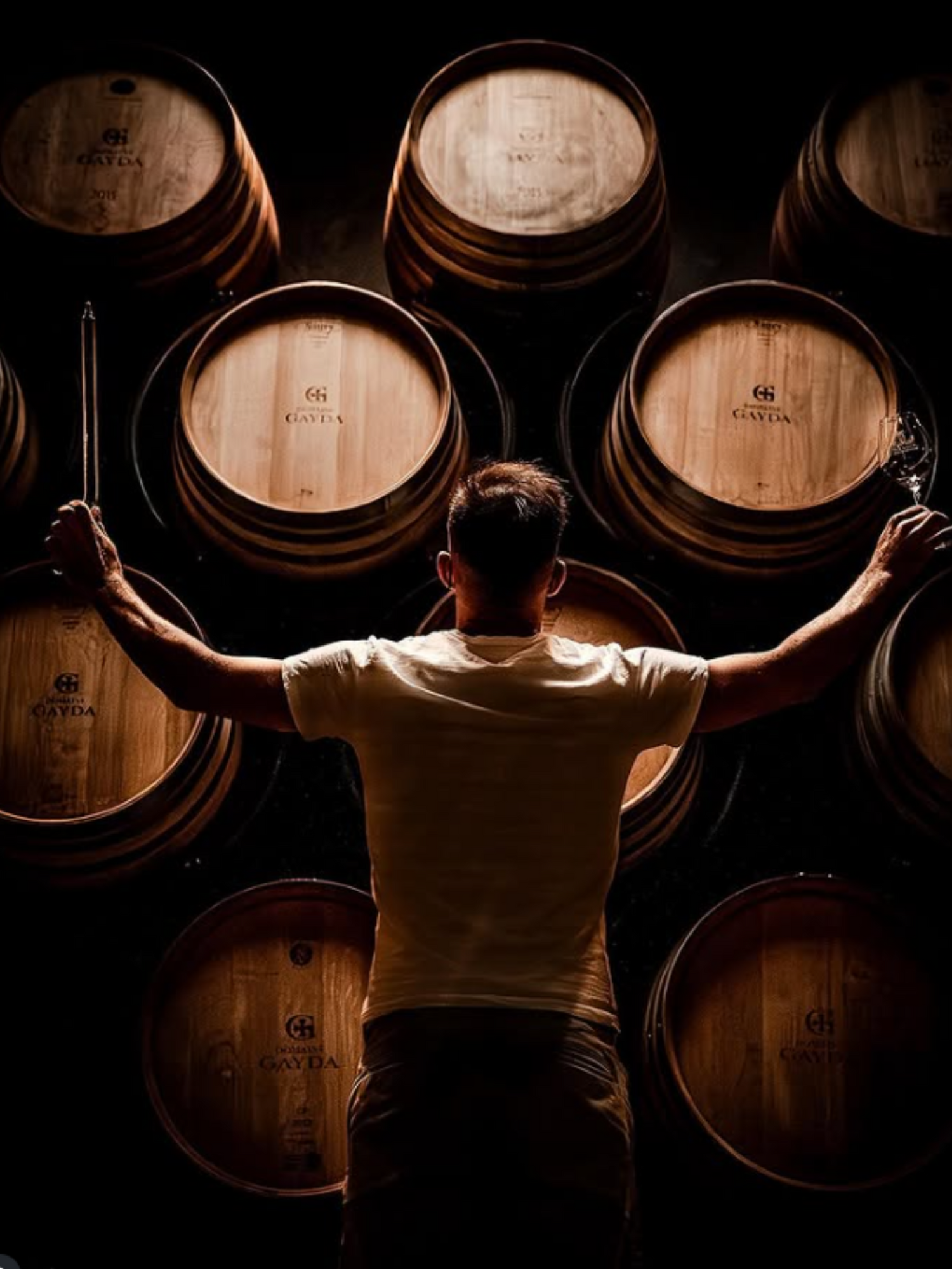 Domaine Gayda