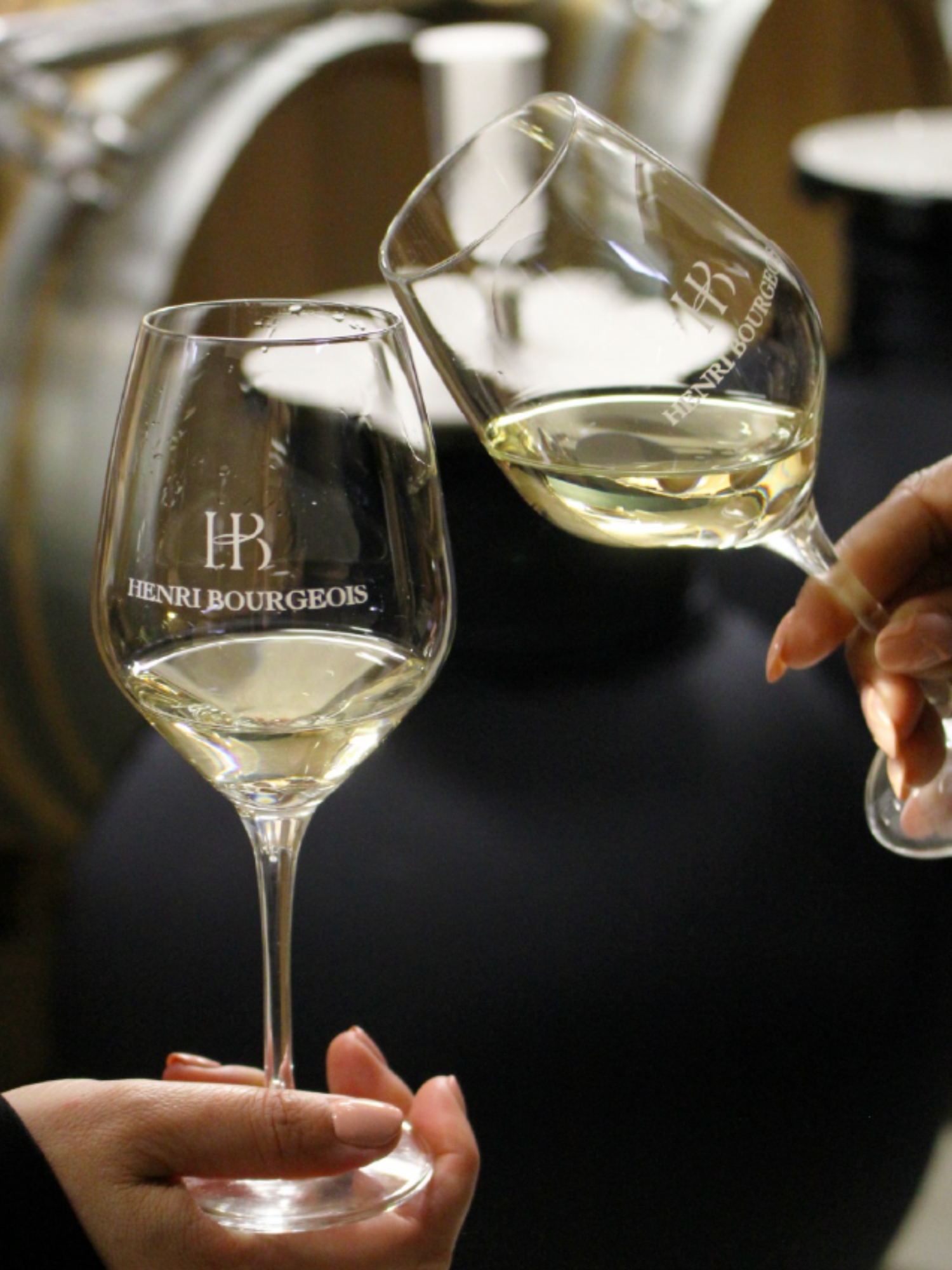 Domaine Henri Bourgeois