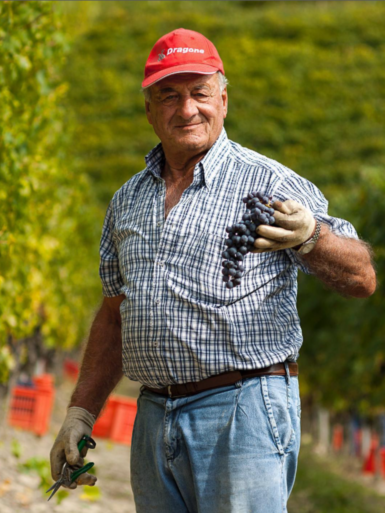 Marchesi di Grésy