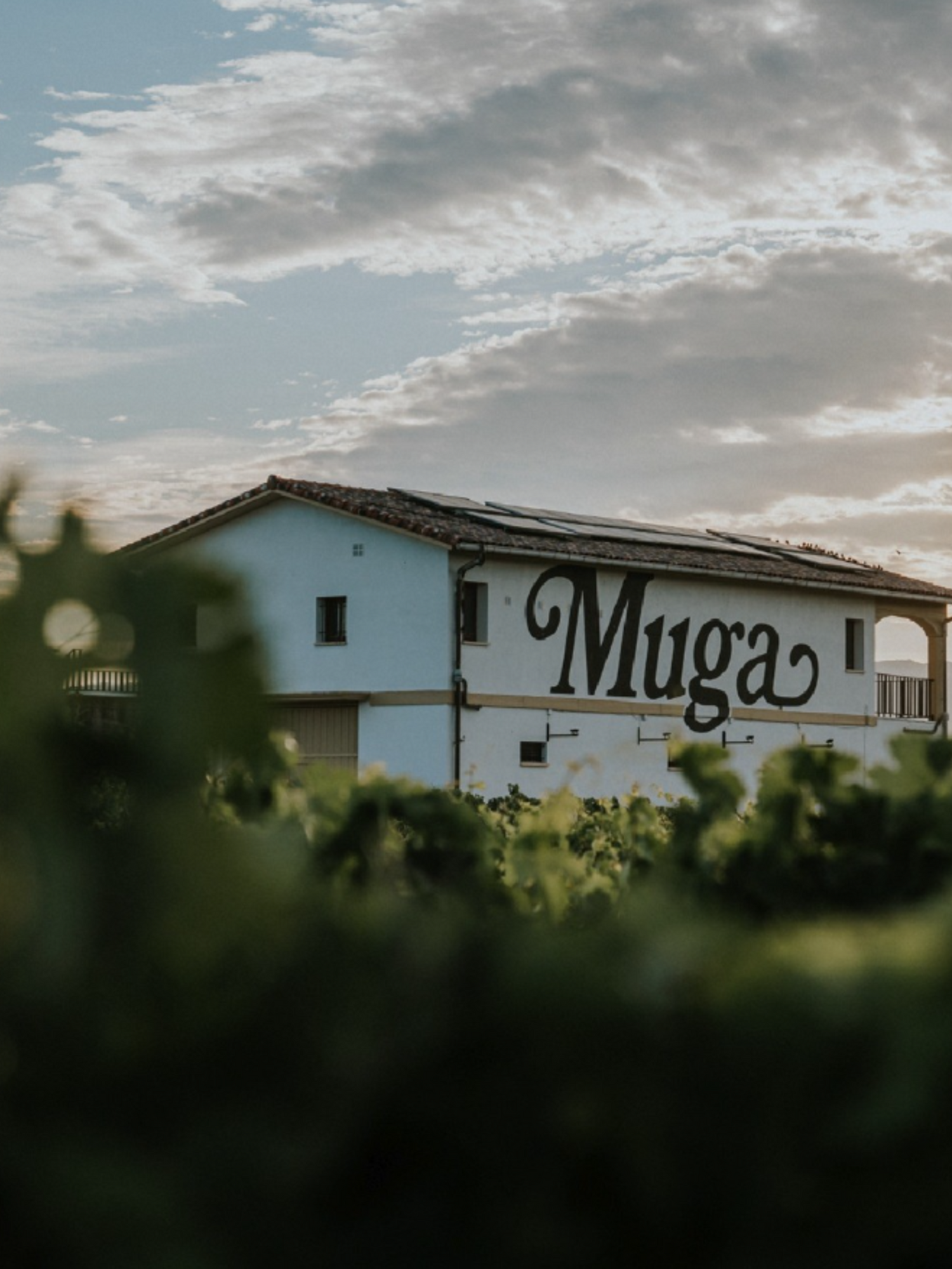 Bodegas Muga
