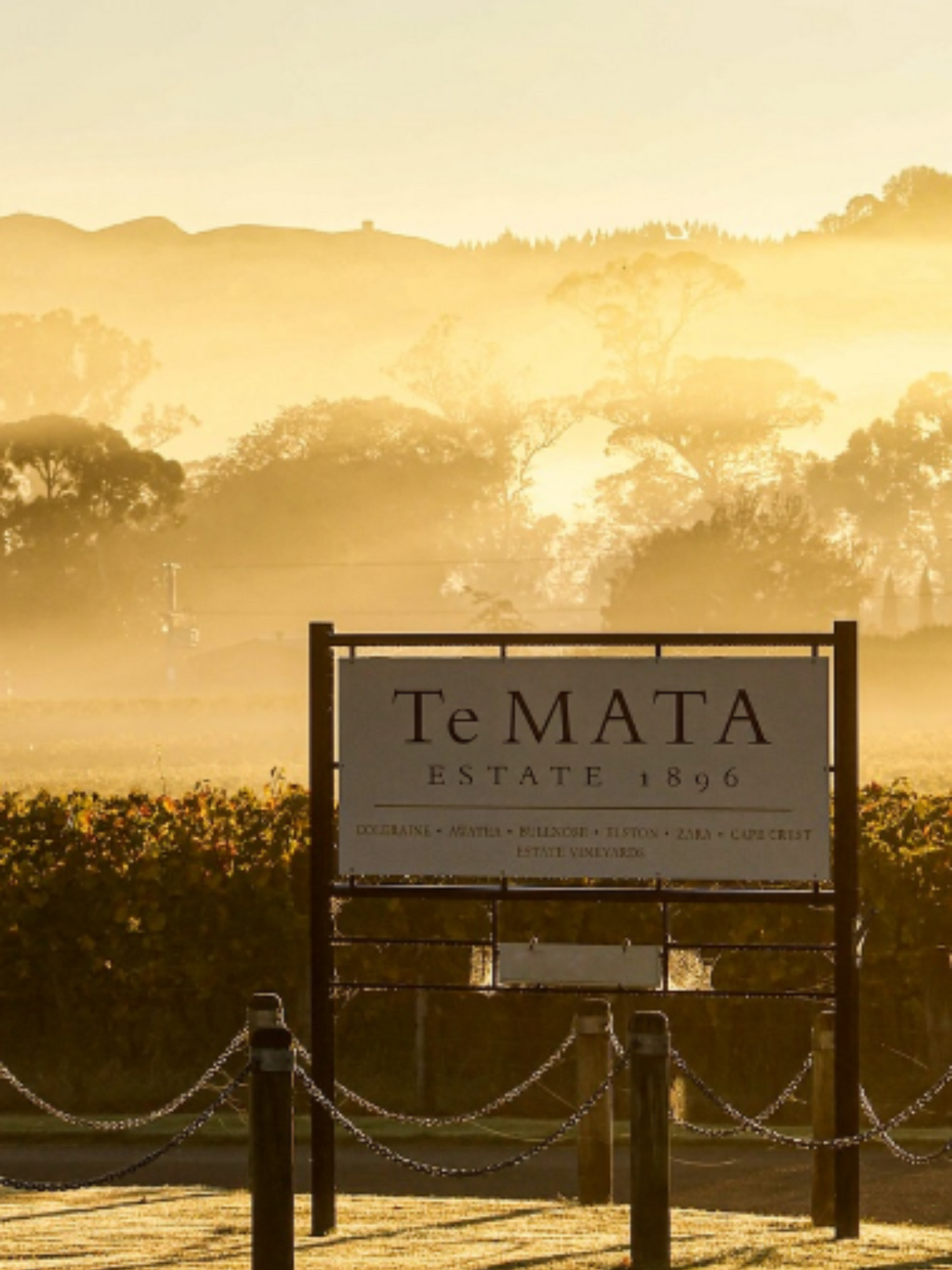 Te Mata Estate