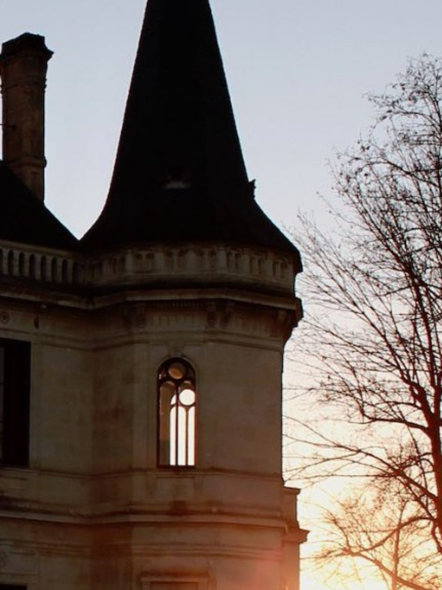Chateau Palmer