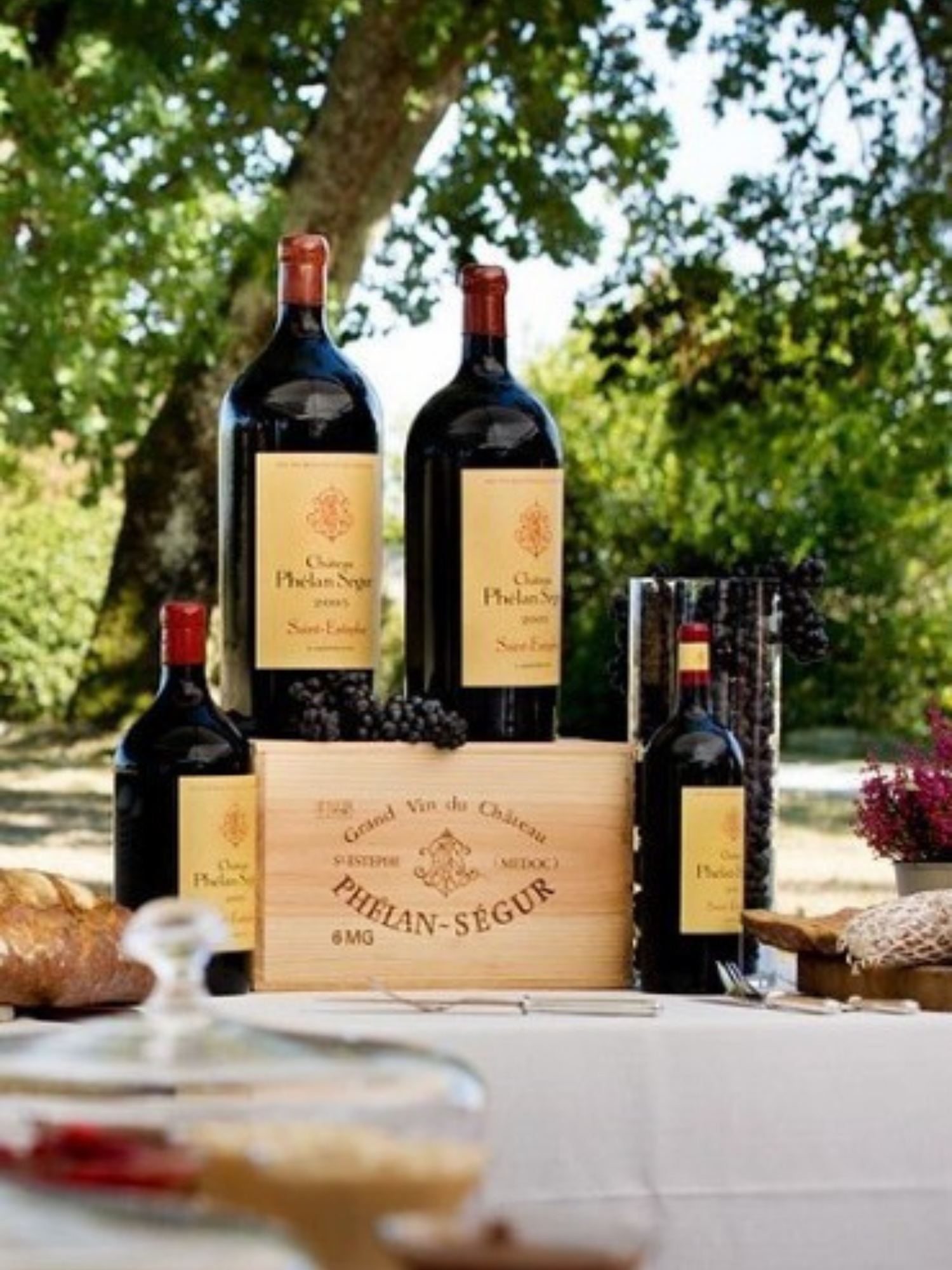 Chateau Phelan Segur