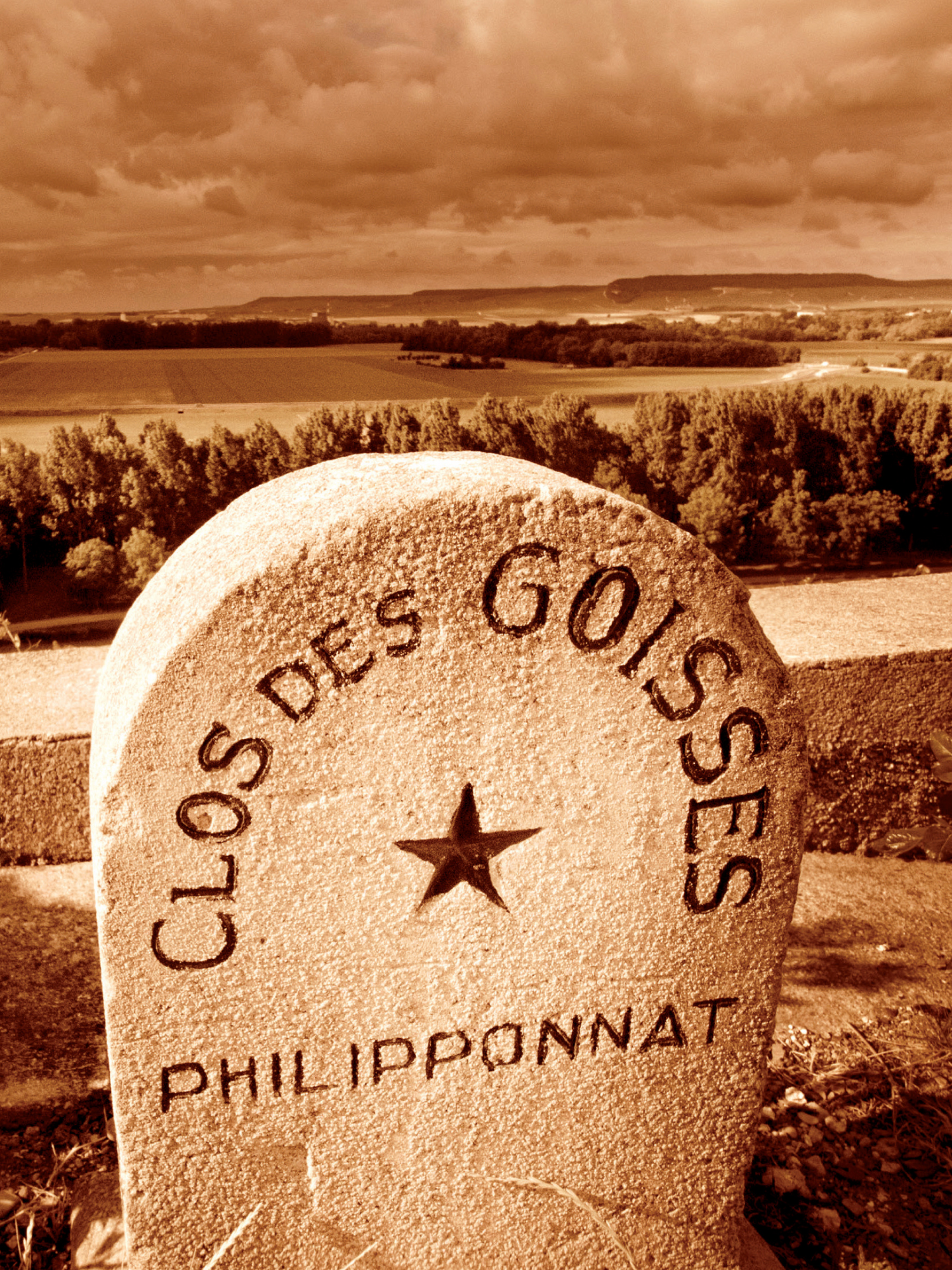 Champagne Philipponnat