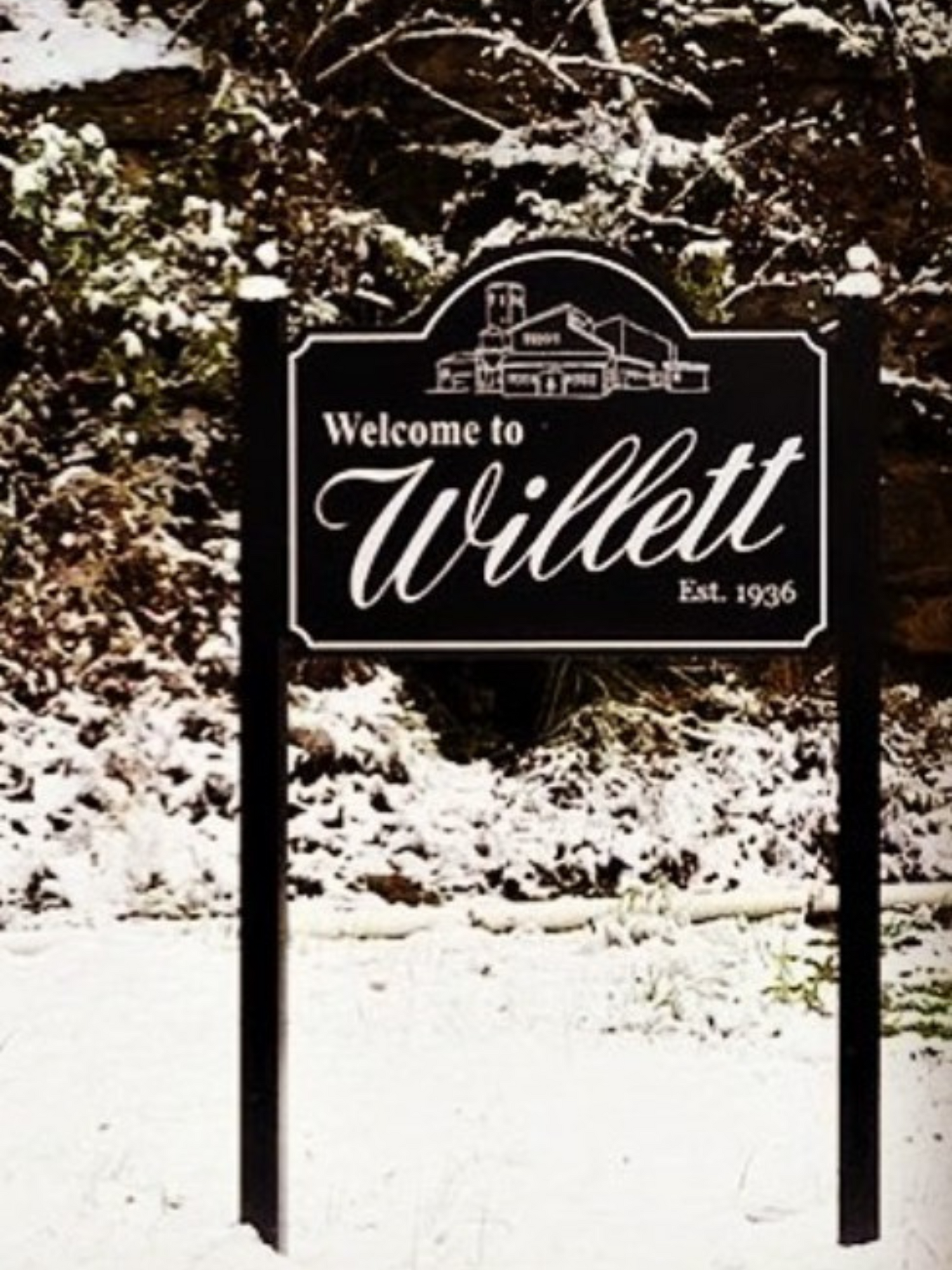Willet