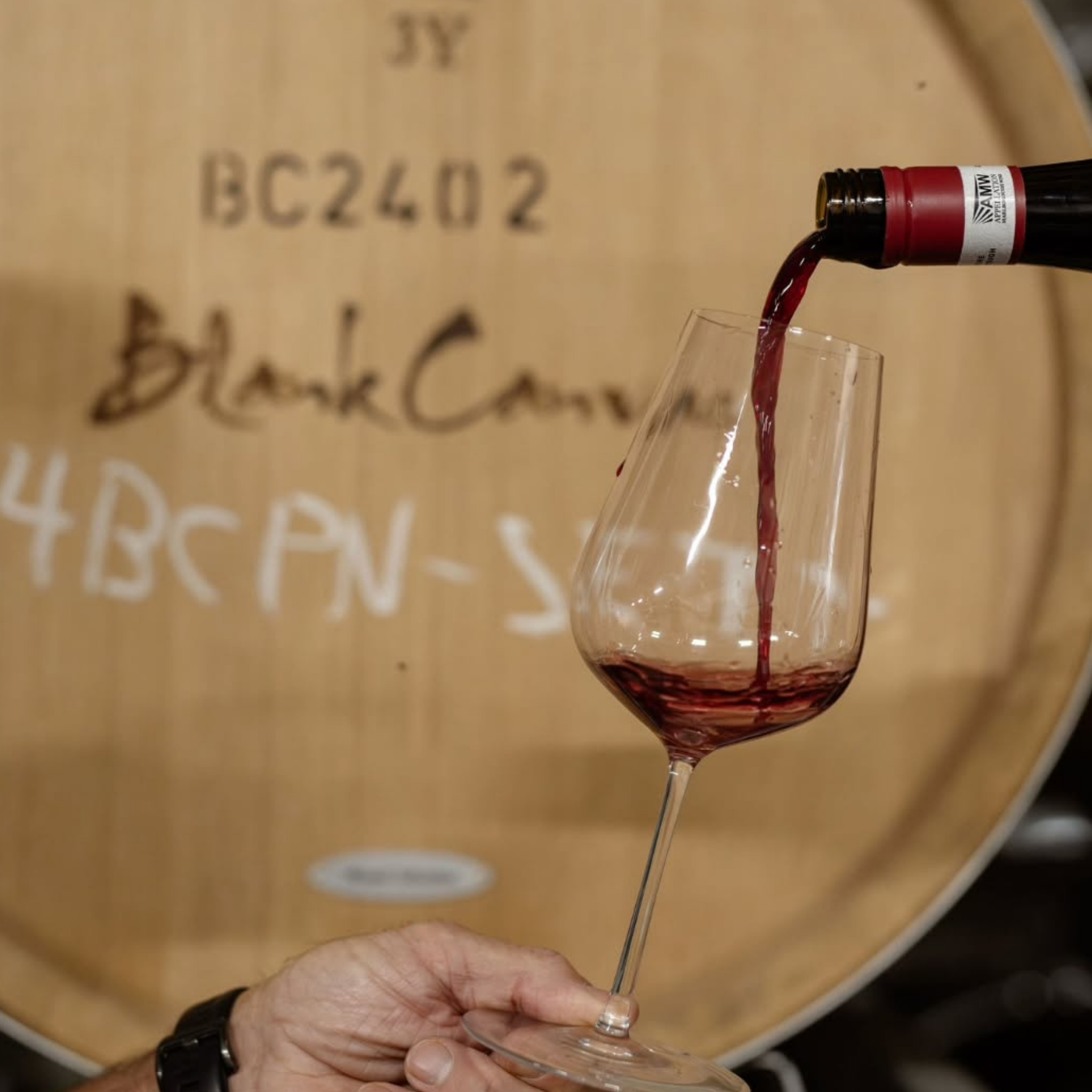 A celebration of two hemispheres (12 Feb)