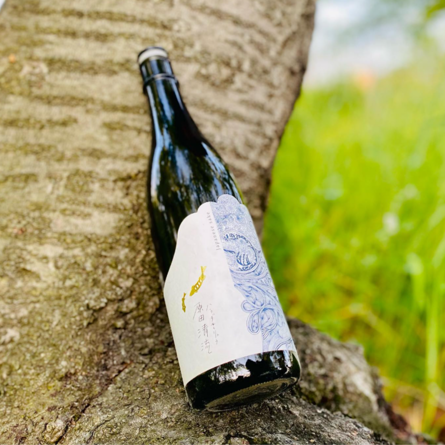 Normanby Fine Wines