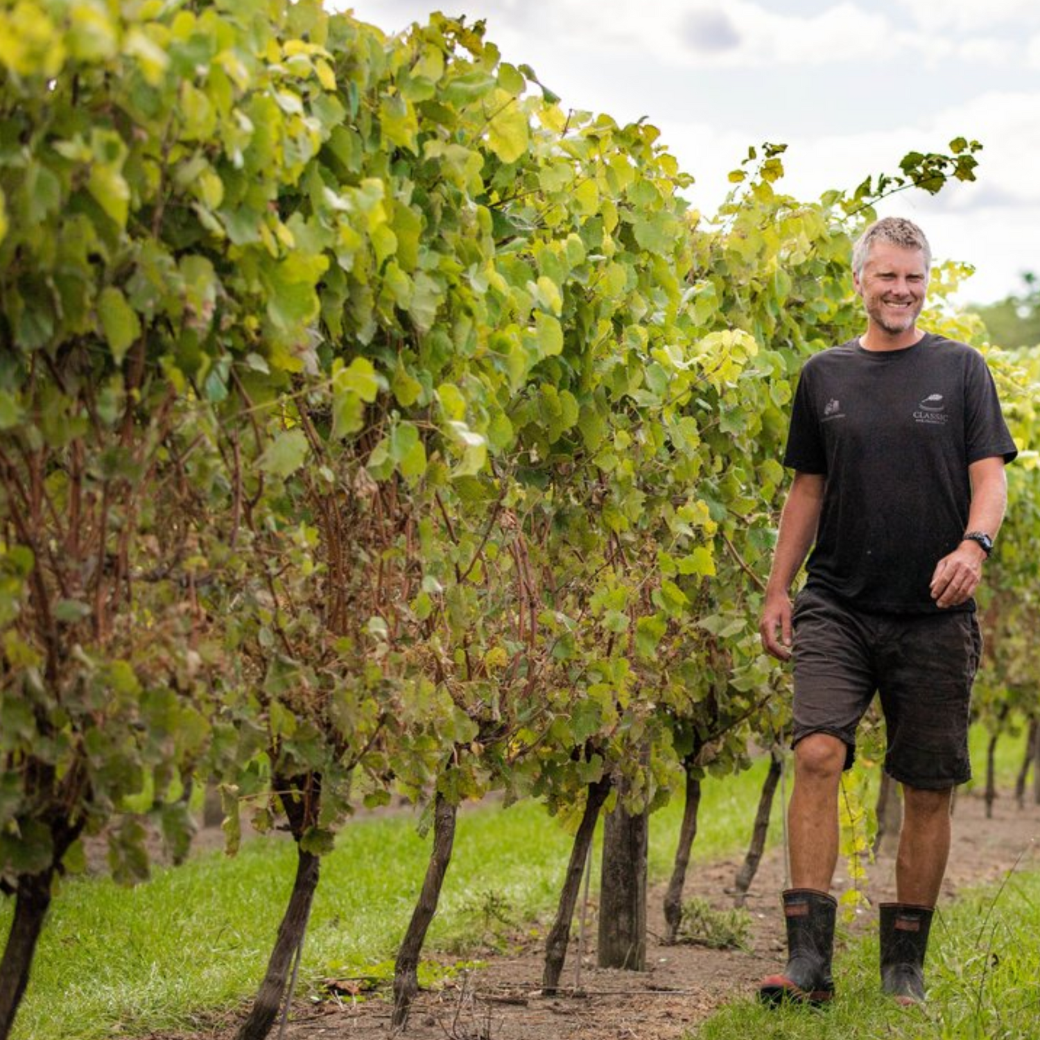 Normanby Fine Wines