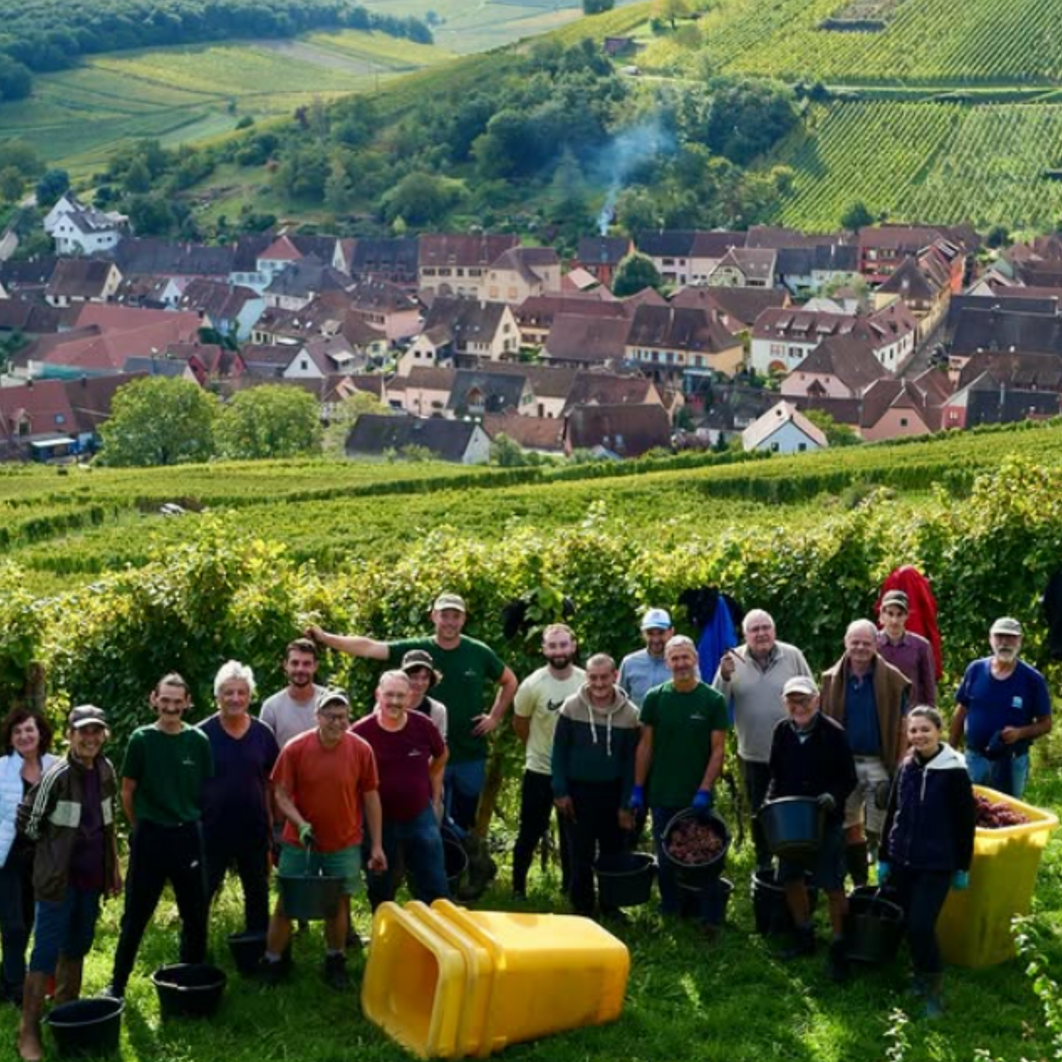 Normanby Fine Wines