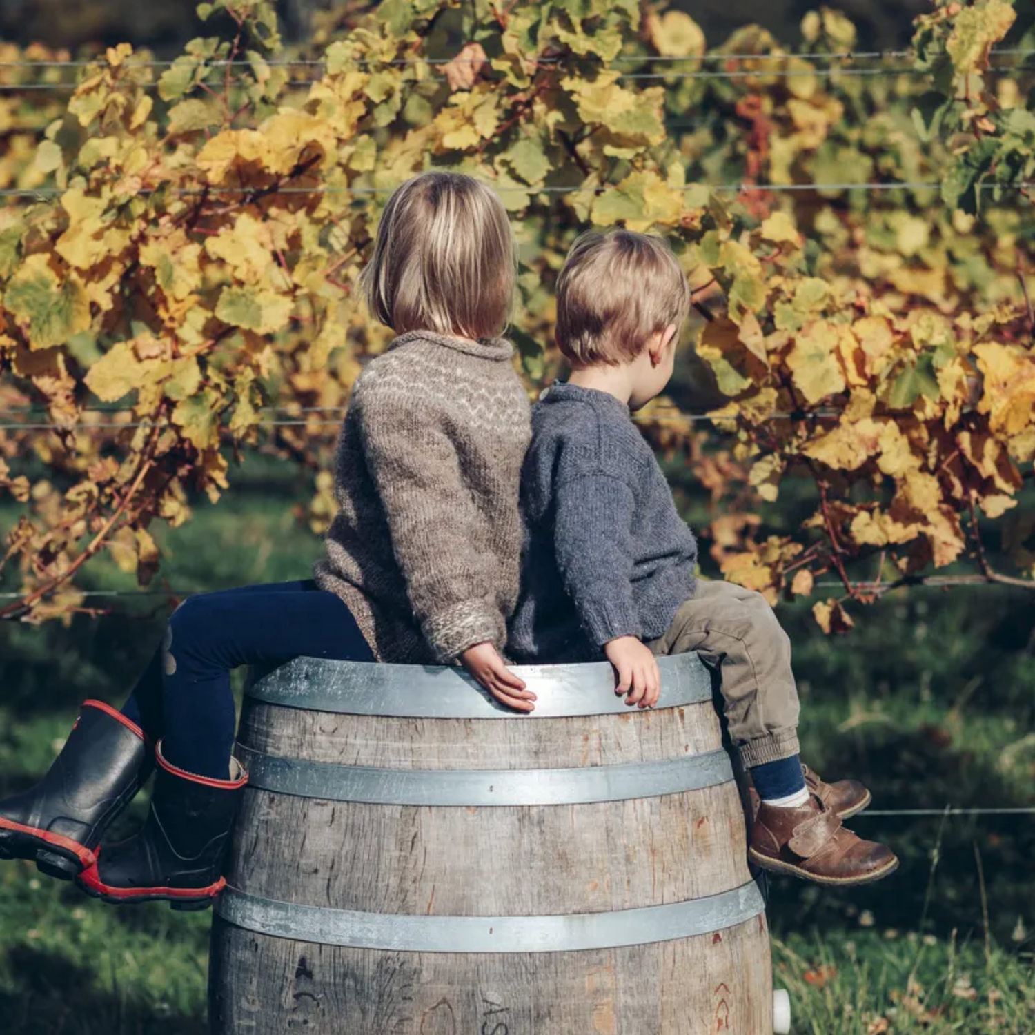 Normanby Fine Wines