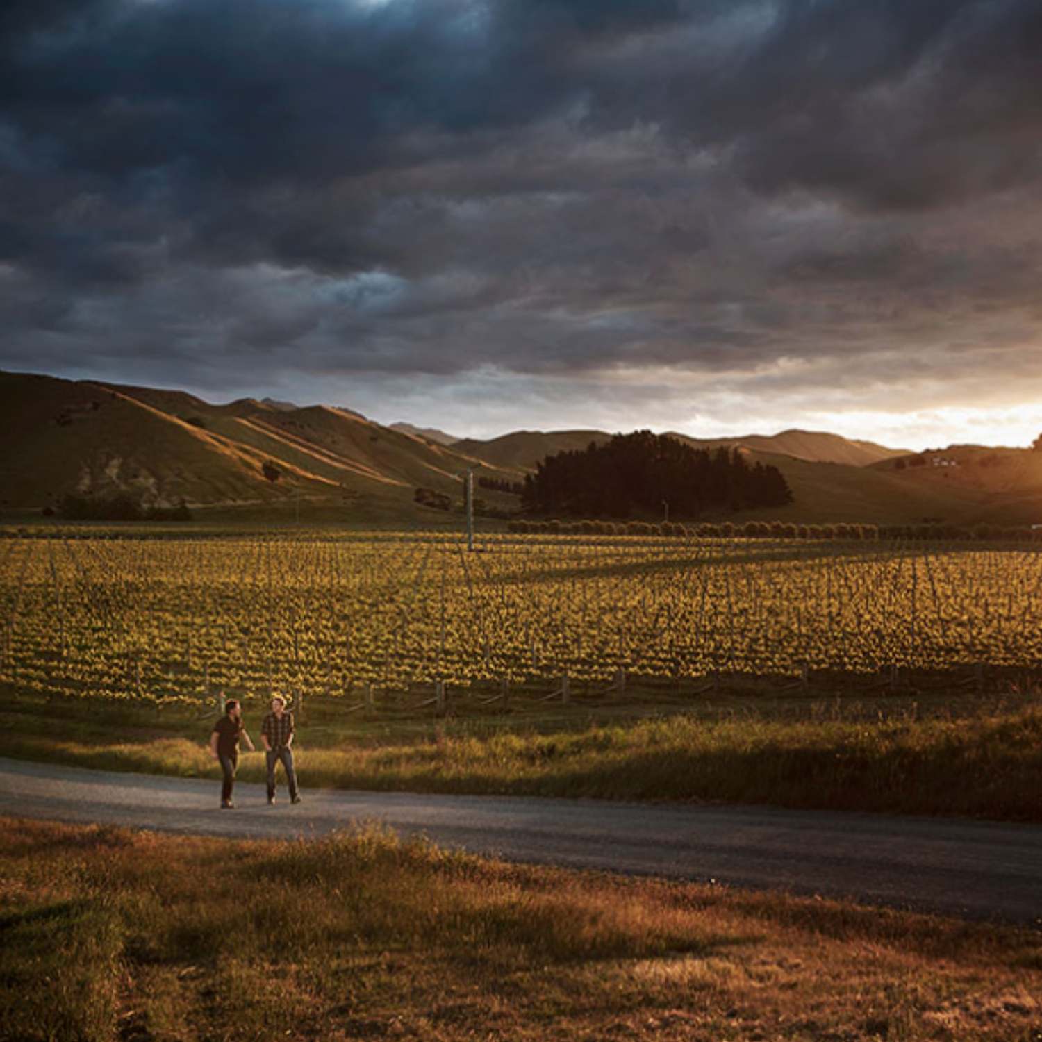 Normanby Fine Wines