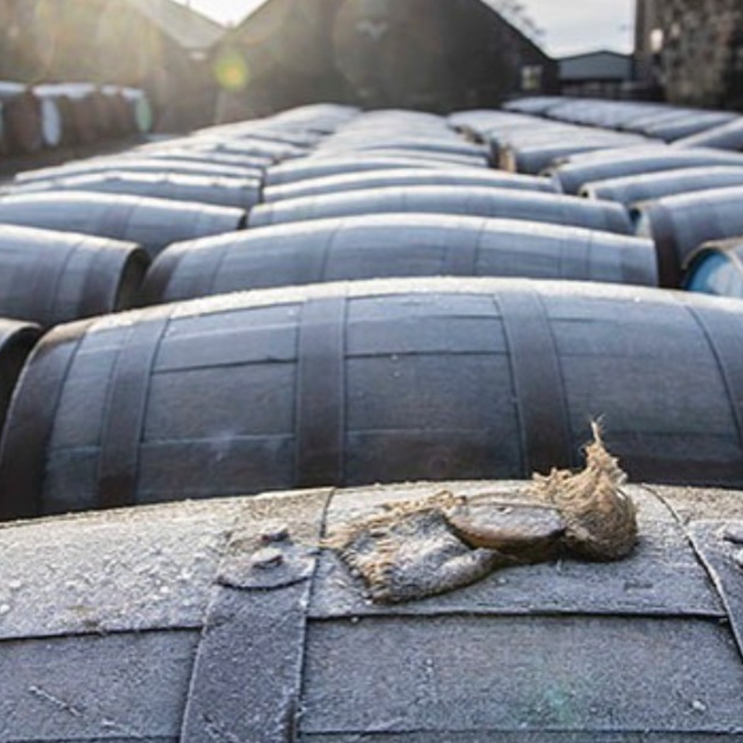Normanby Fine Wines