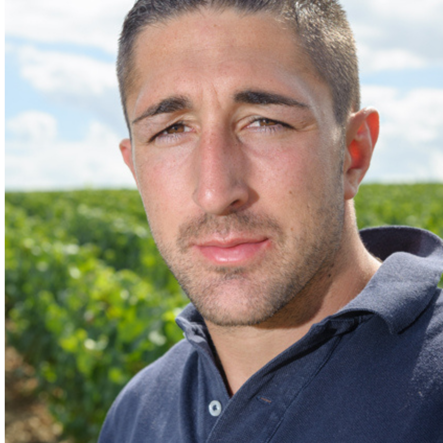Normanby Fine Wines