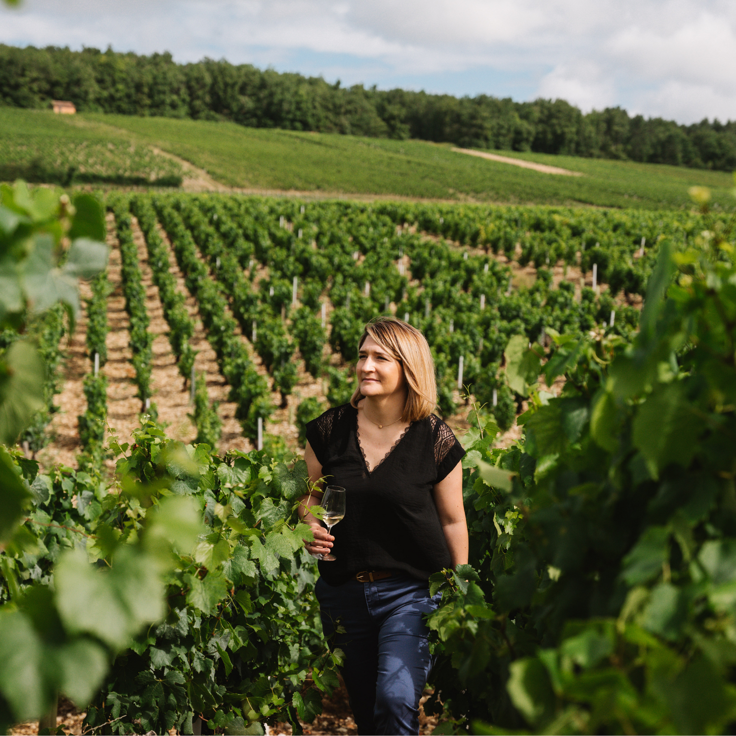 Normanby Fine Wines