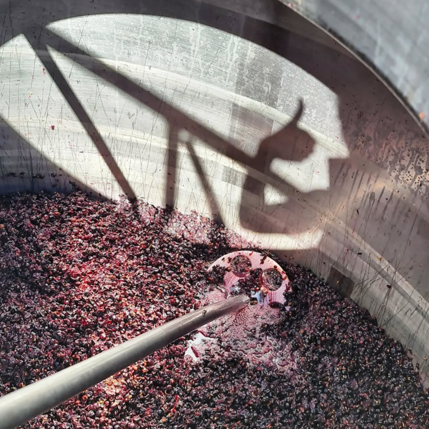 Normanby Fine Wines