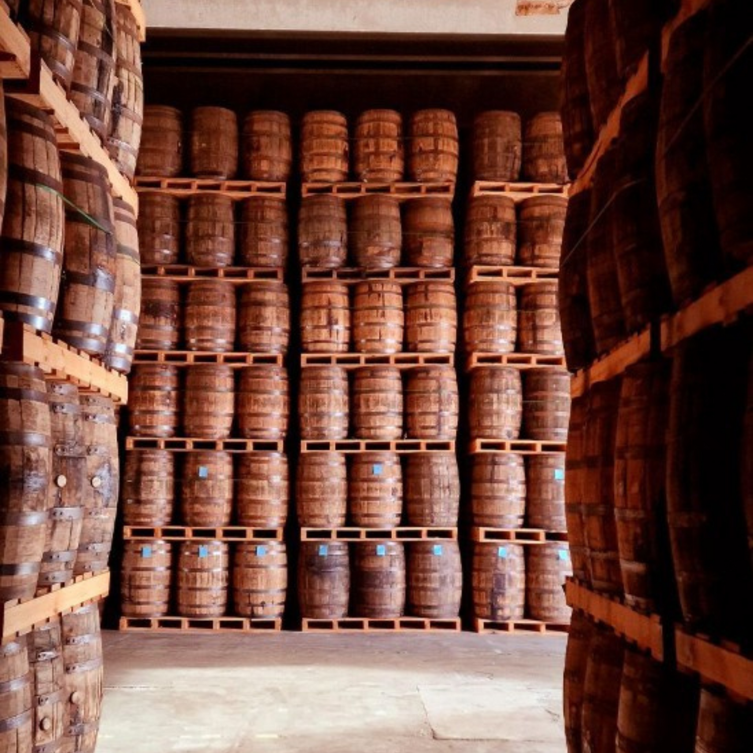 Normanby Fine Wines