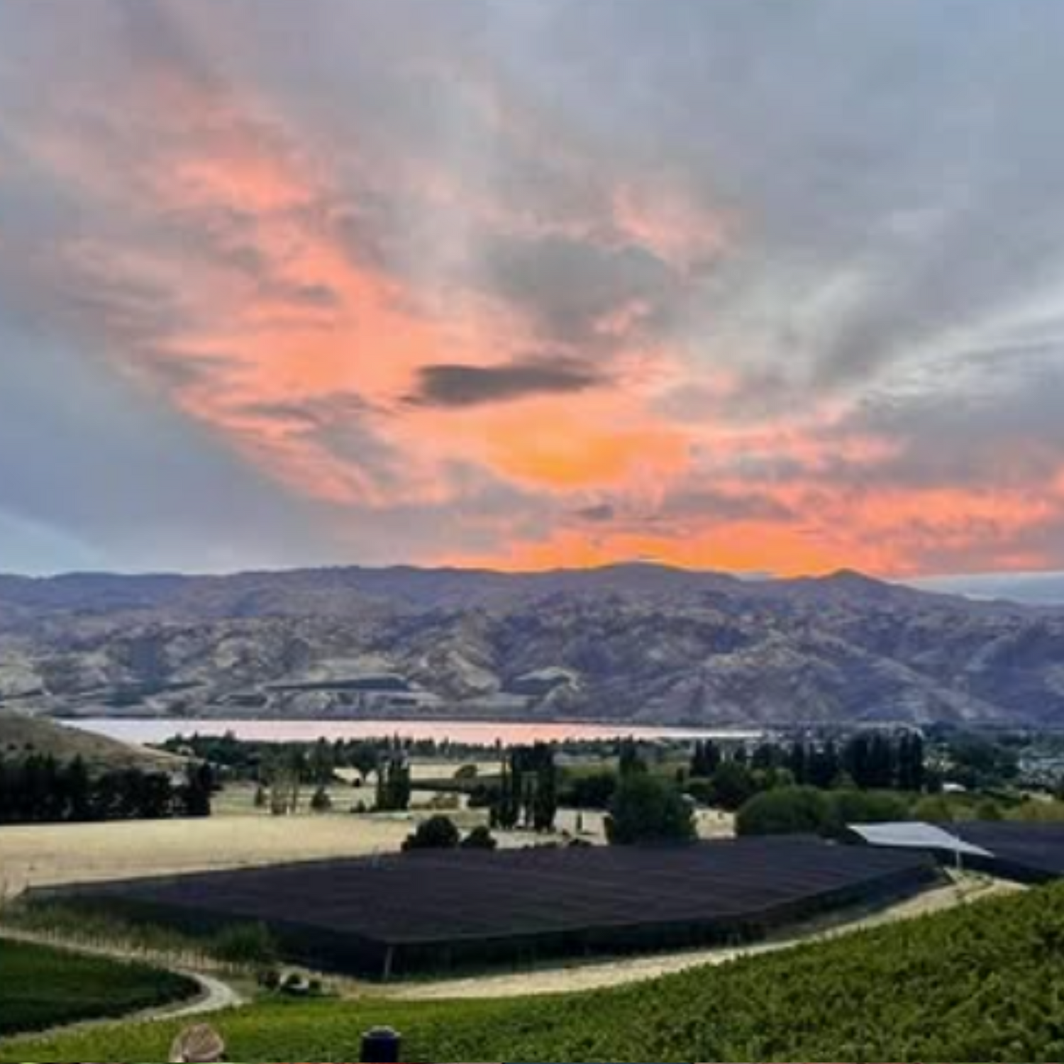 Normanby Fine Wines