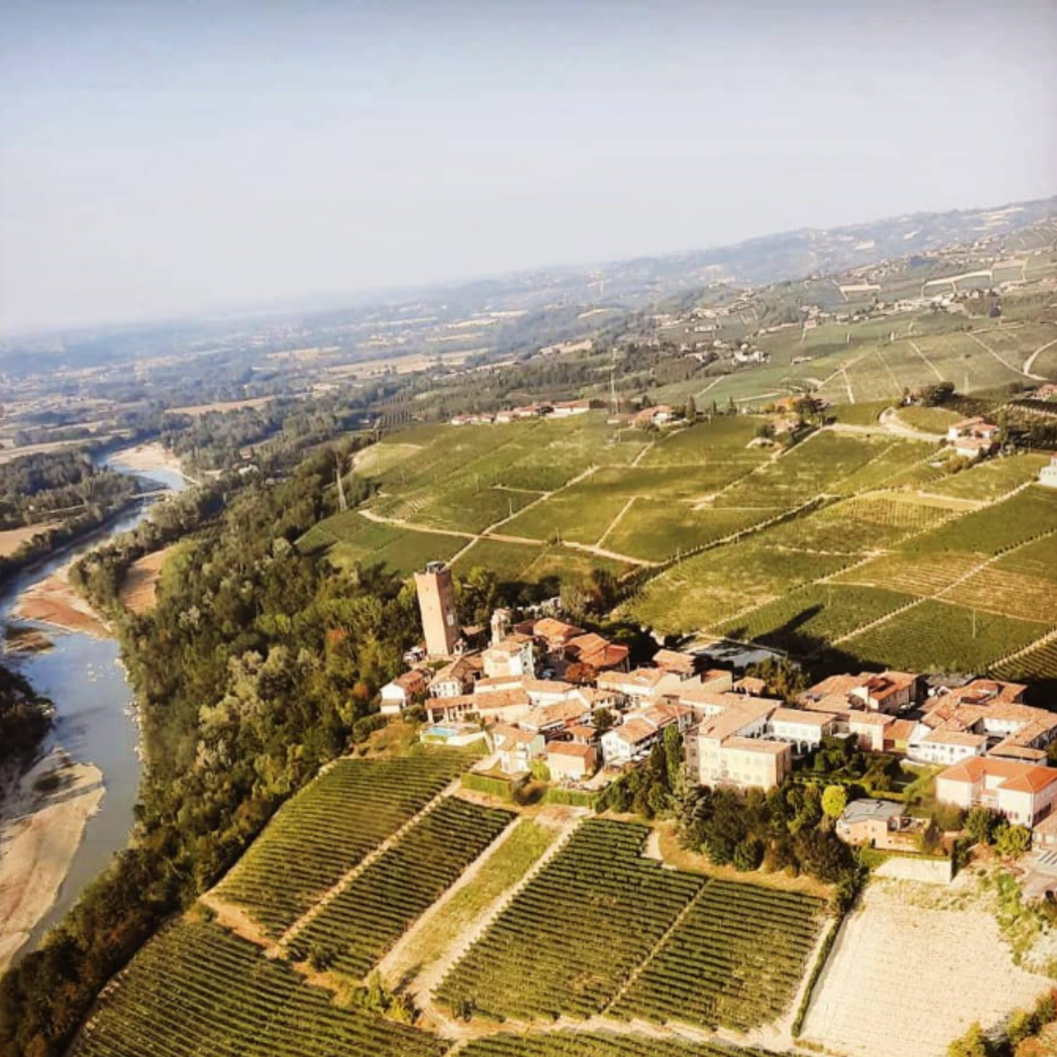 Normanby Fine Wines