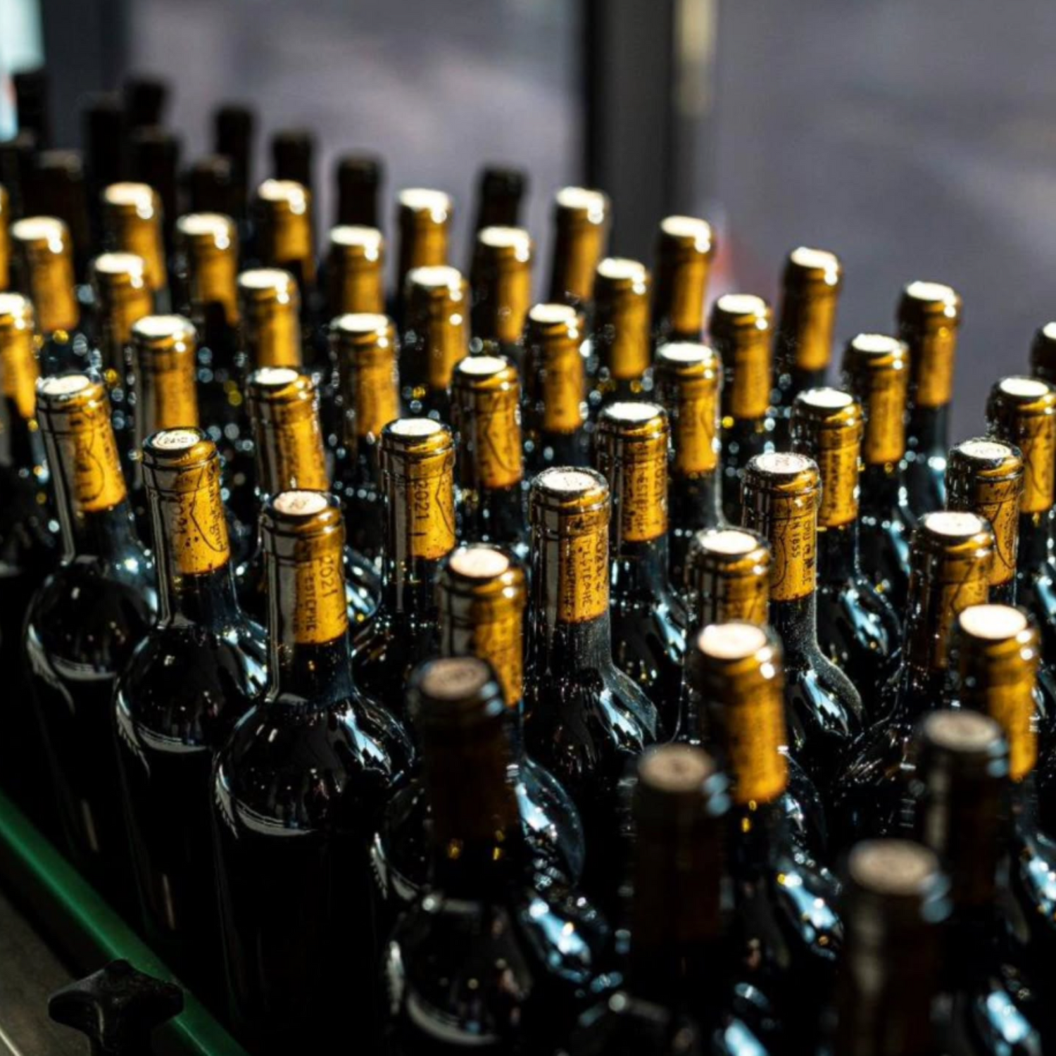 Normanby Fine Wines
