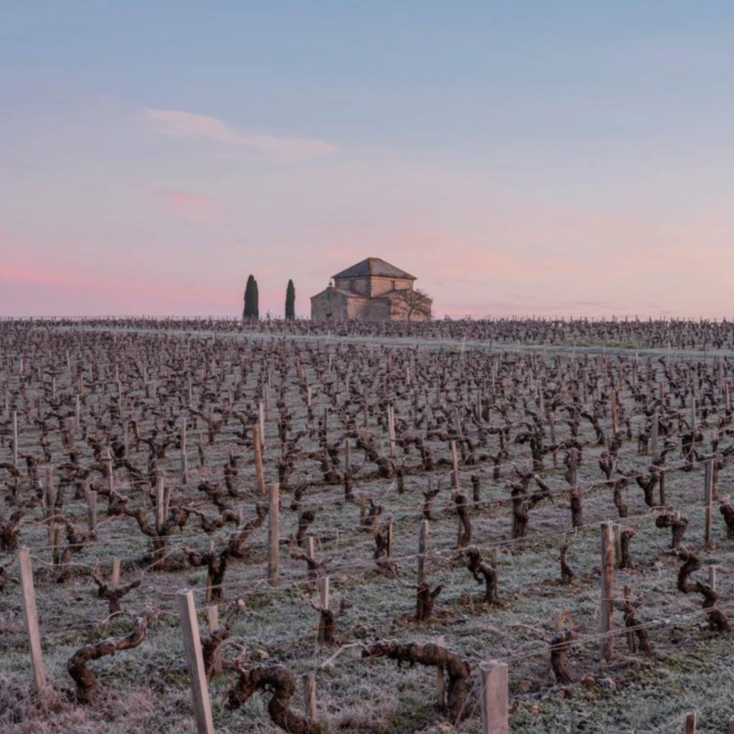 Normanby Fine Wines