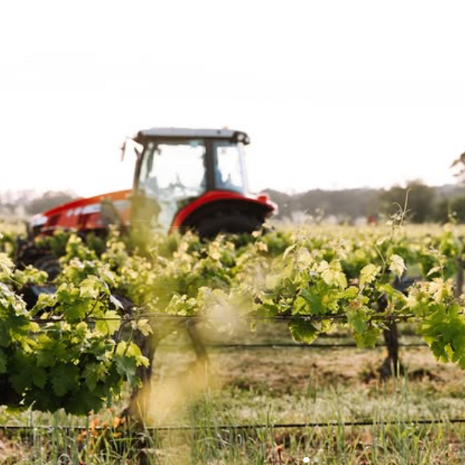 Normanby Fine Wines