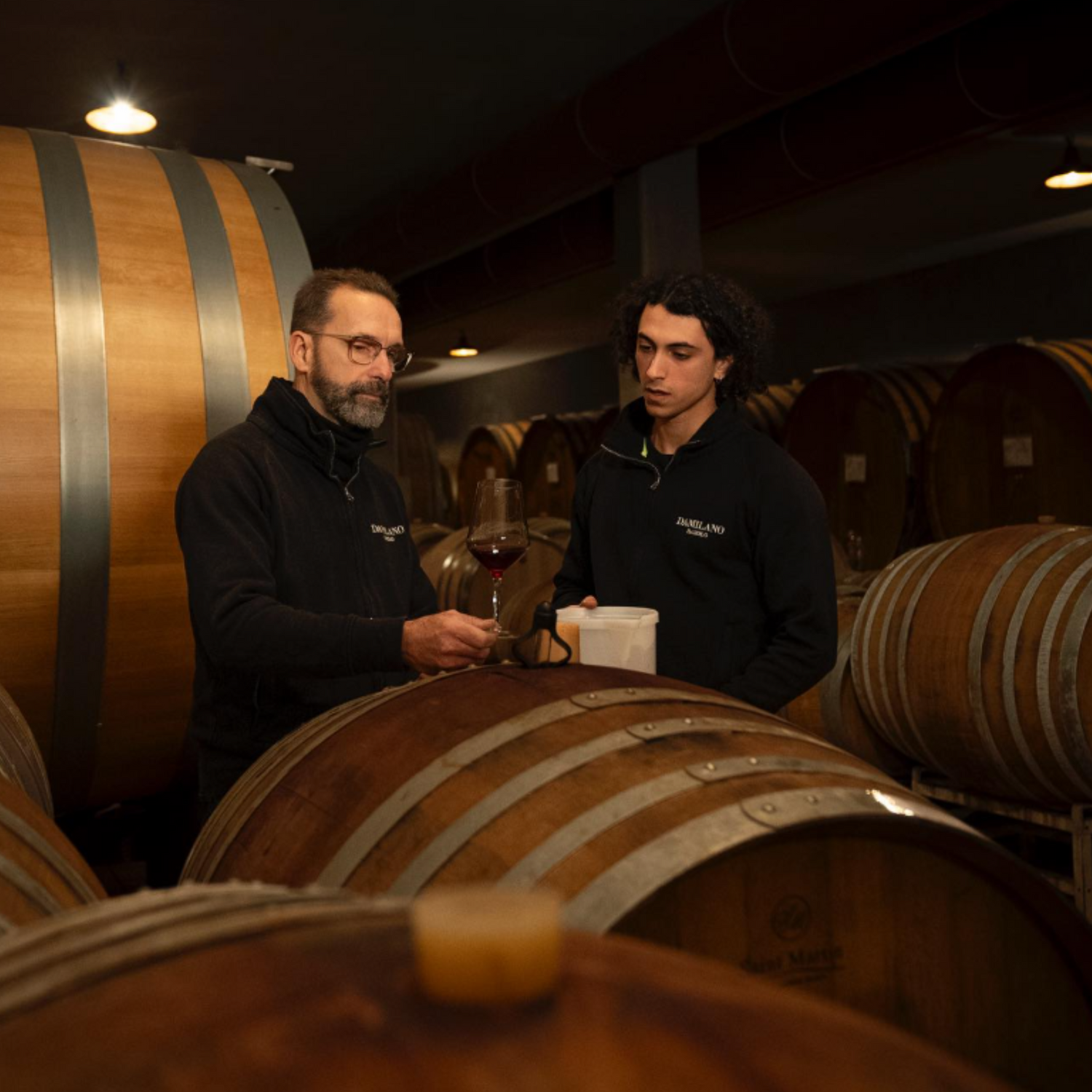 Normanby Fine Wines