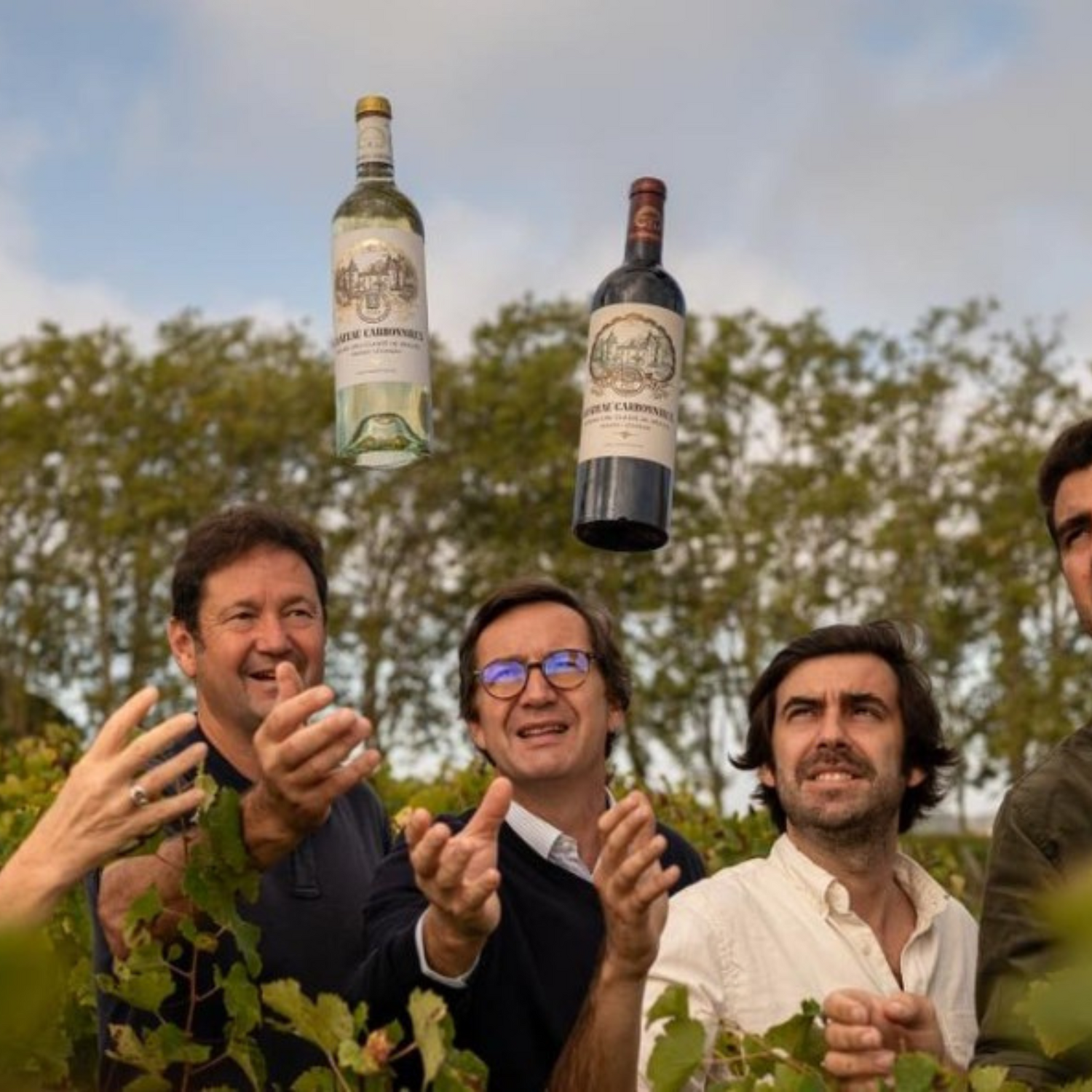 Normanby Fine Wines