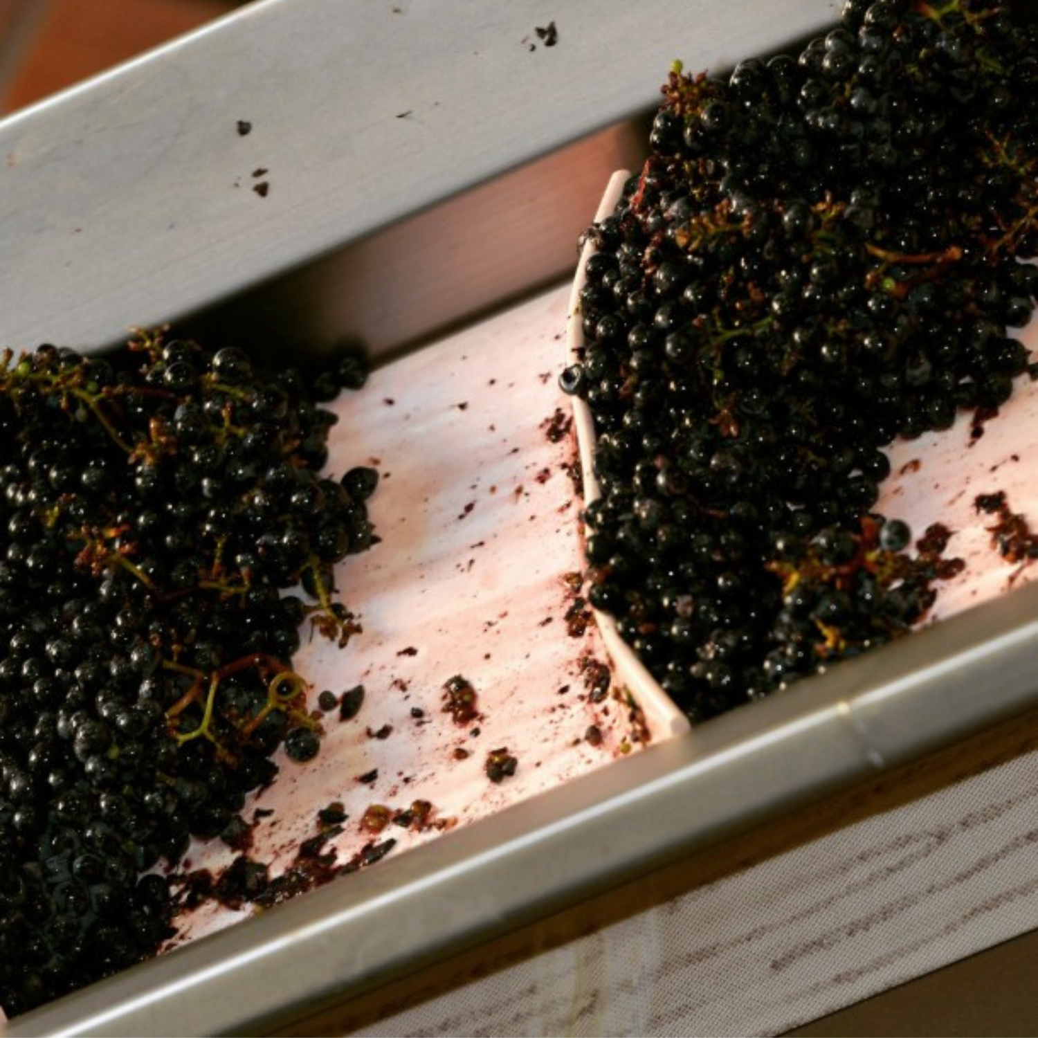 Normanby Fine Wines